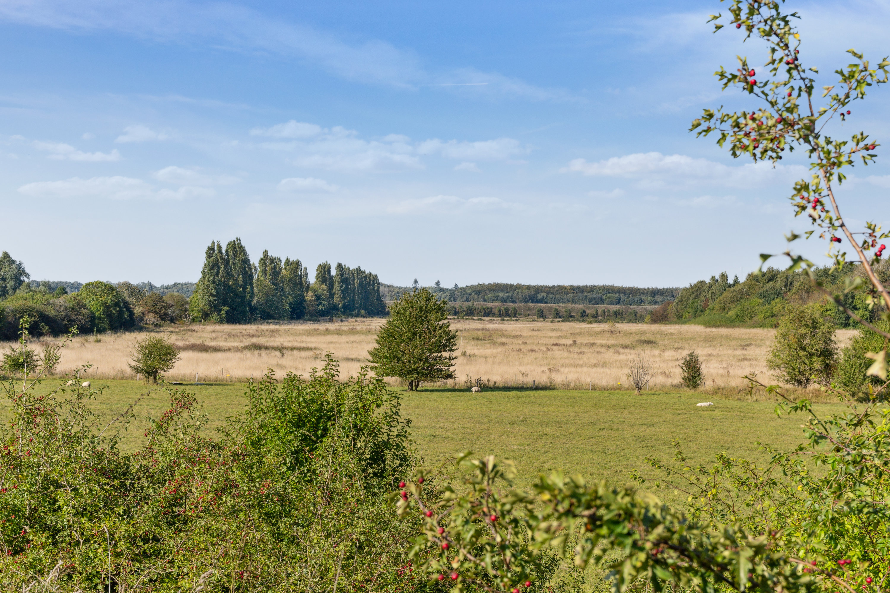 Fremhævet område billede i fuldskærmstilstand. Billede af Hovedporten 3E, st.., 2650 Hvidovre