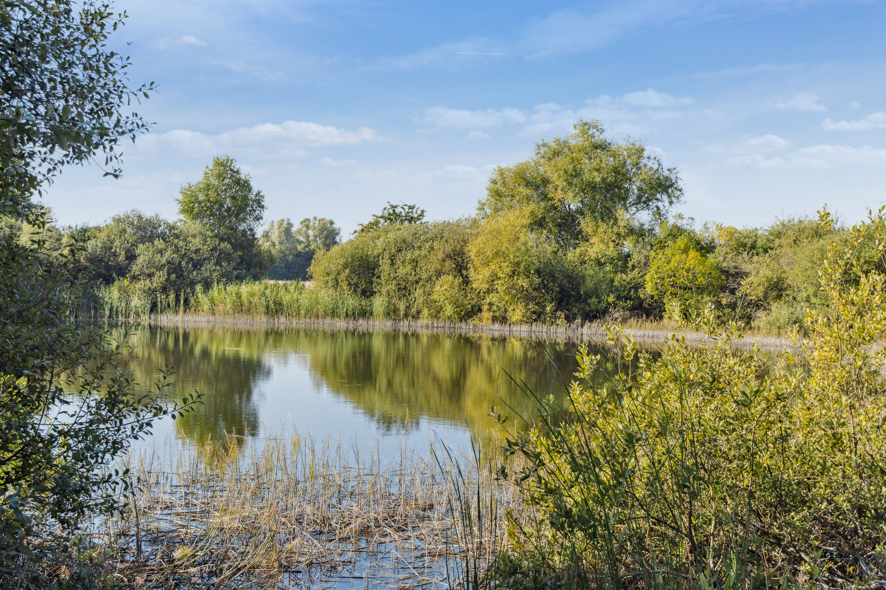 Fremhævet område billede i fuldskærmstilstand. Billede af Hovedporten 3E, st.., 2650 Hvidovre