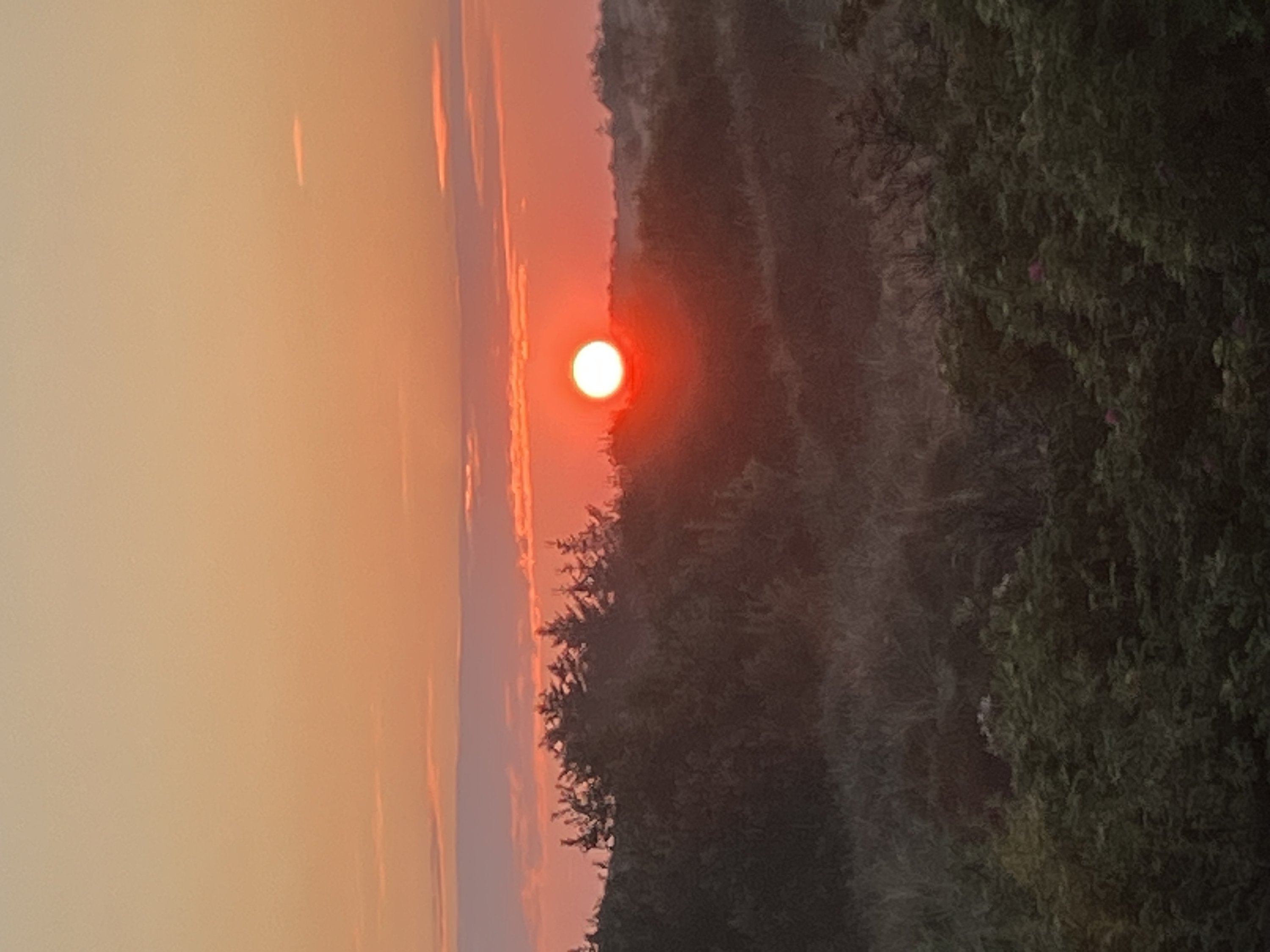 Fremhævet  billede i fuldskærmstilstand. Billede af Karredvej 47, Hulsig, 9990 Skagen