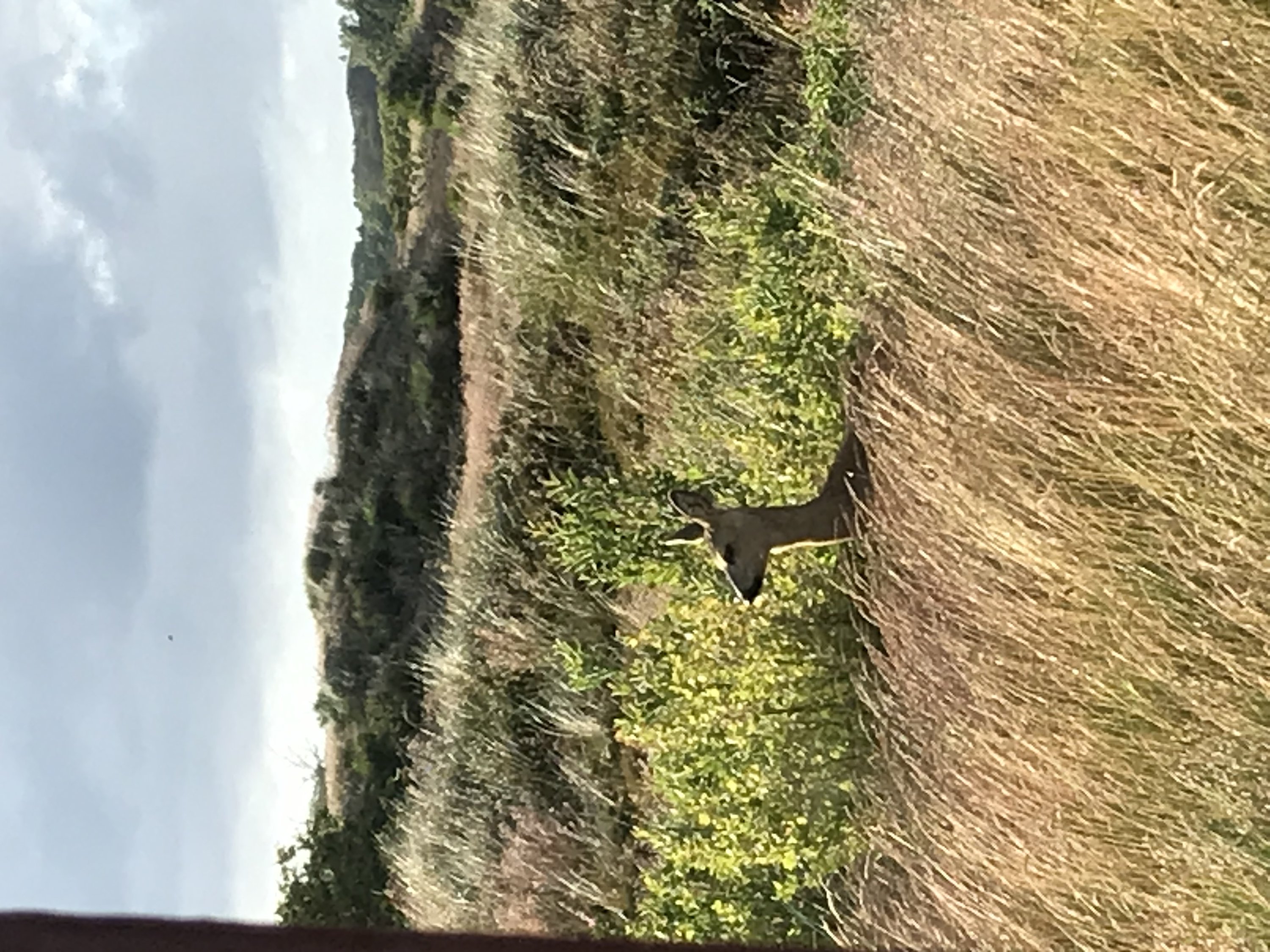 Fremhævet  billede i fuldskærmstilstand. Billede af Karredvej 47, Hulsig, 9990 Skagen