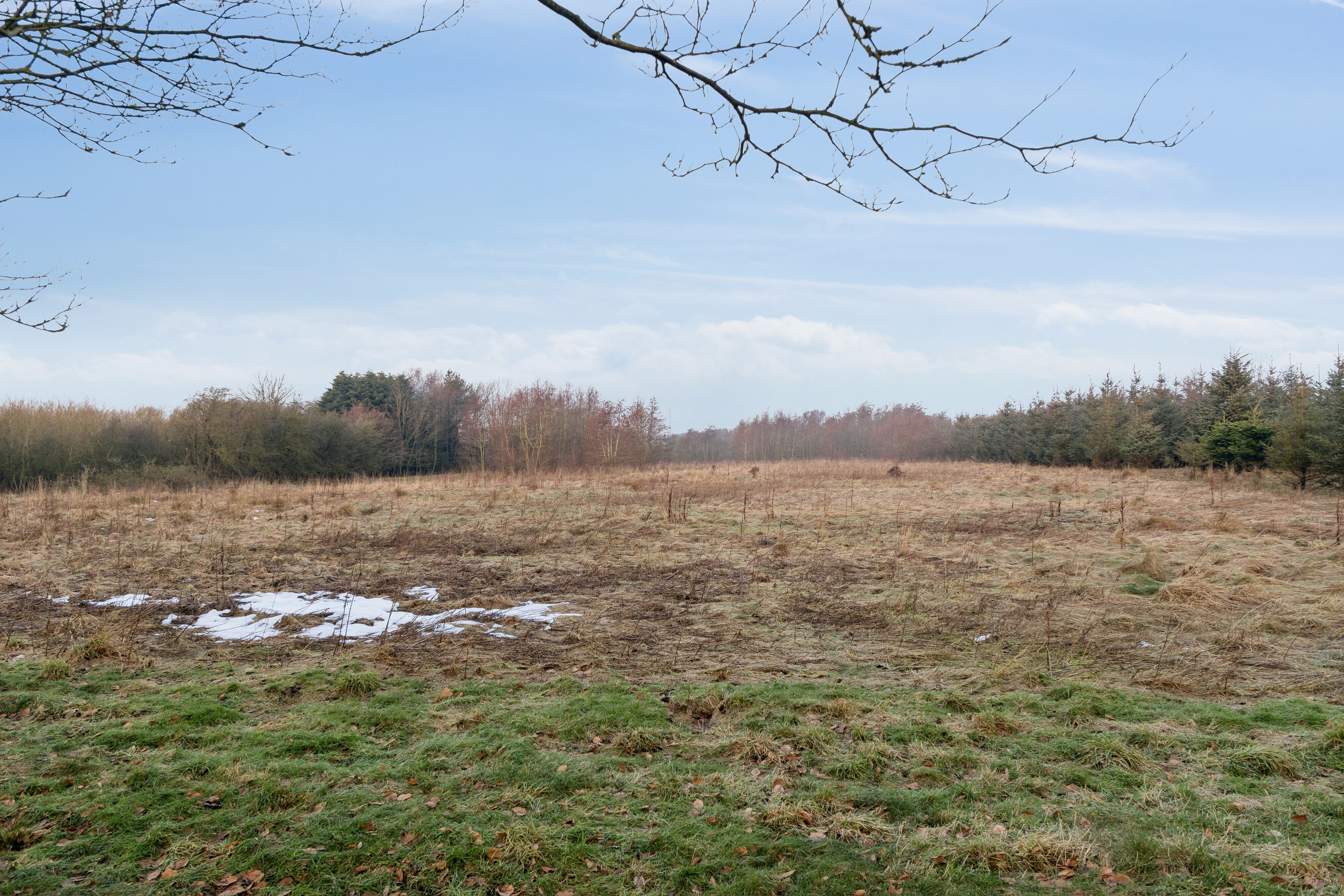 Fremhævet have billede i fuldskærmstilstand. Billede af Rønnovsholmvej 110, 9800 Hjørring