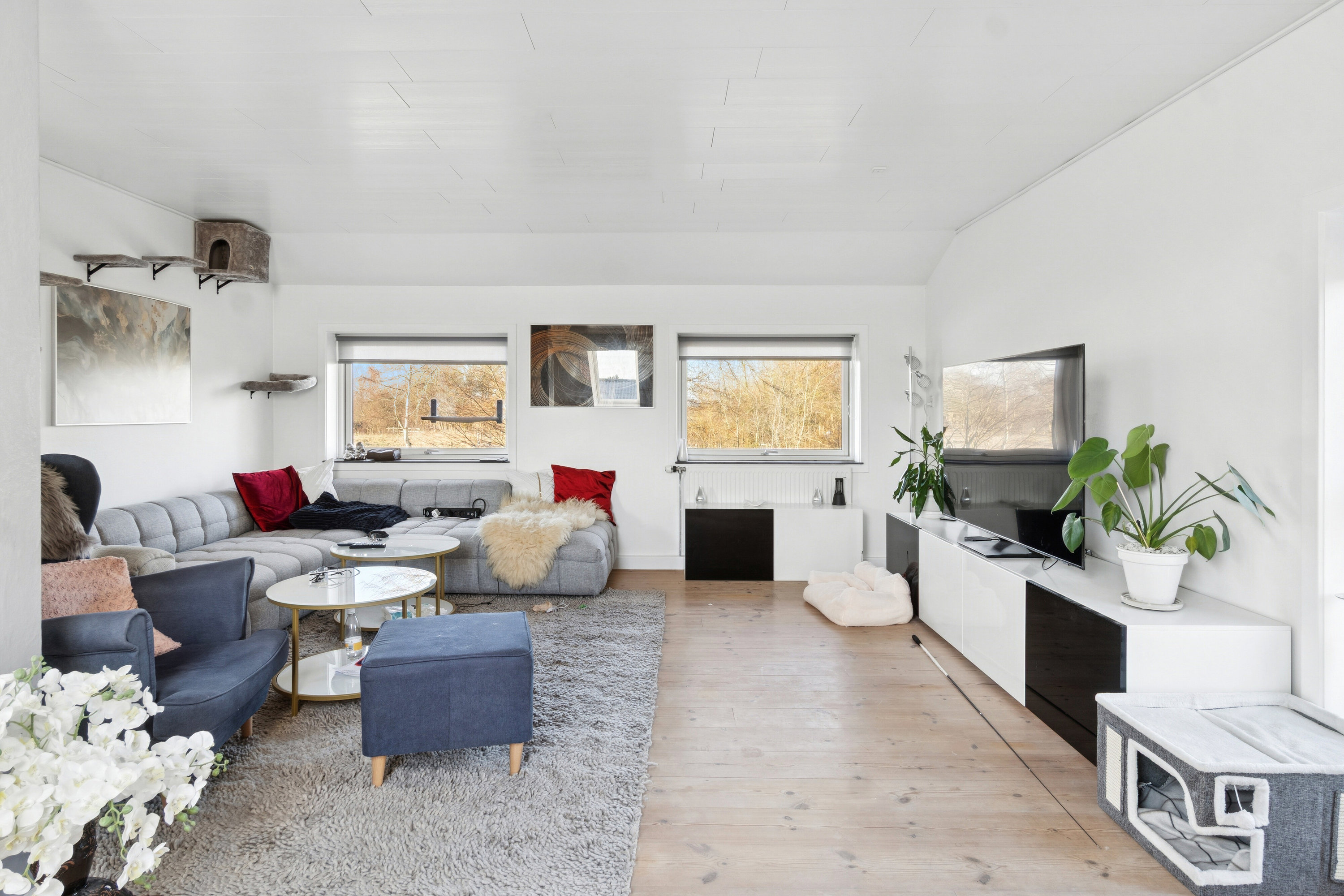 Fremhævet stue billede i fuldskærmstilstand. Billede af Eskebjergvej 91, 4593 Eskebjerg