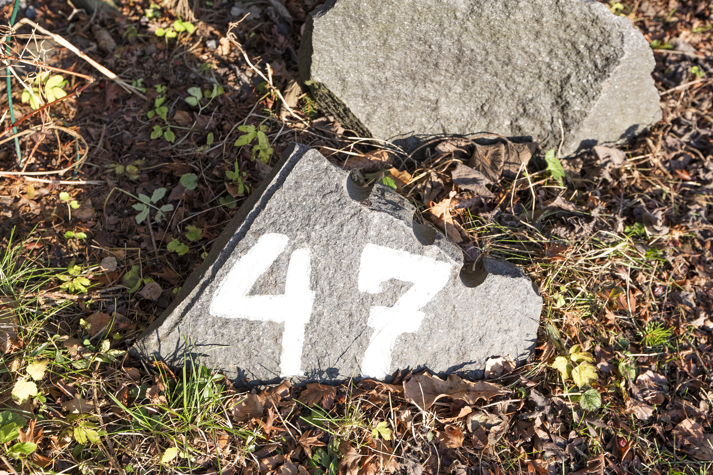 Fremhævet ejendommen billede i fuldskærmstilstand. Billede af Asynjevej 47, 2740 Skovlunde