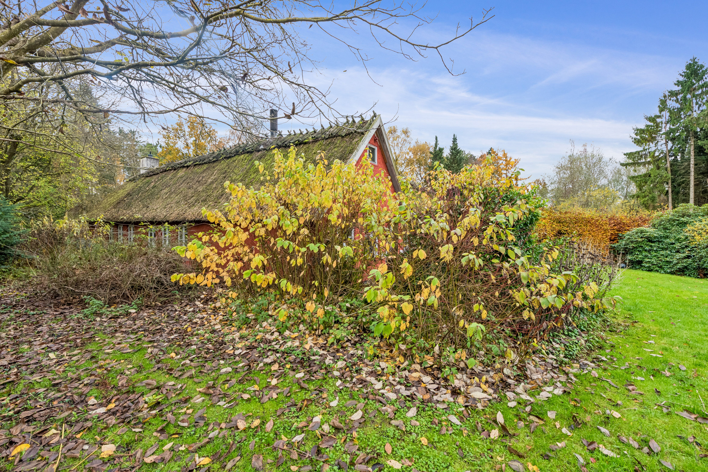 Fremhævet  billede i fuldskærmstilstand. Billede af Nymøllevej 2A, 3450 Allerød