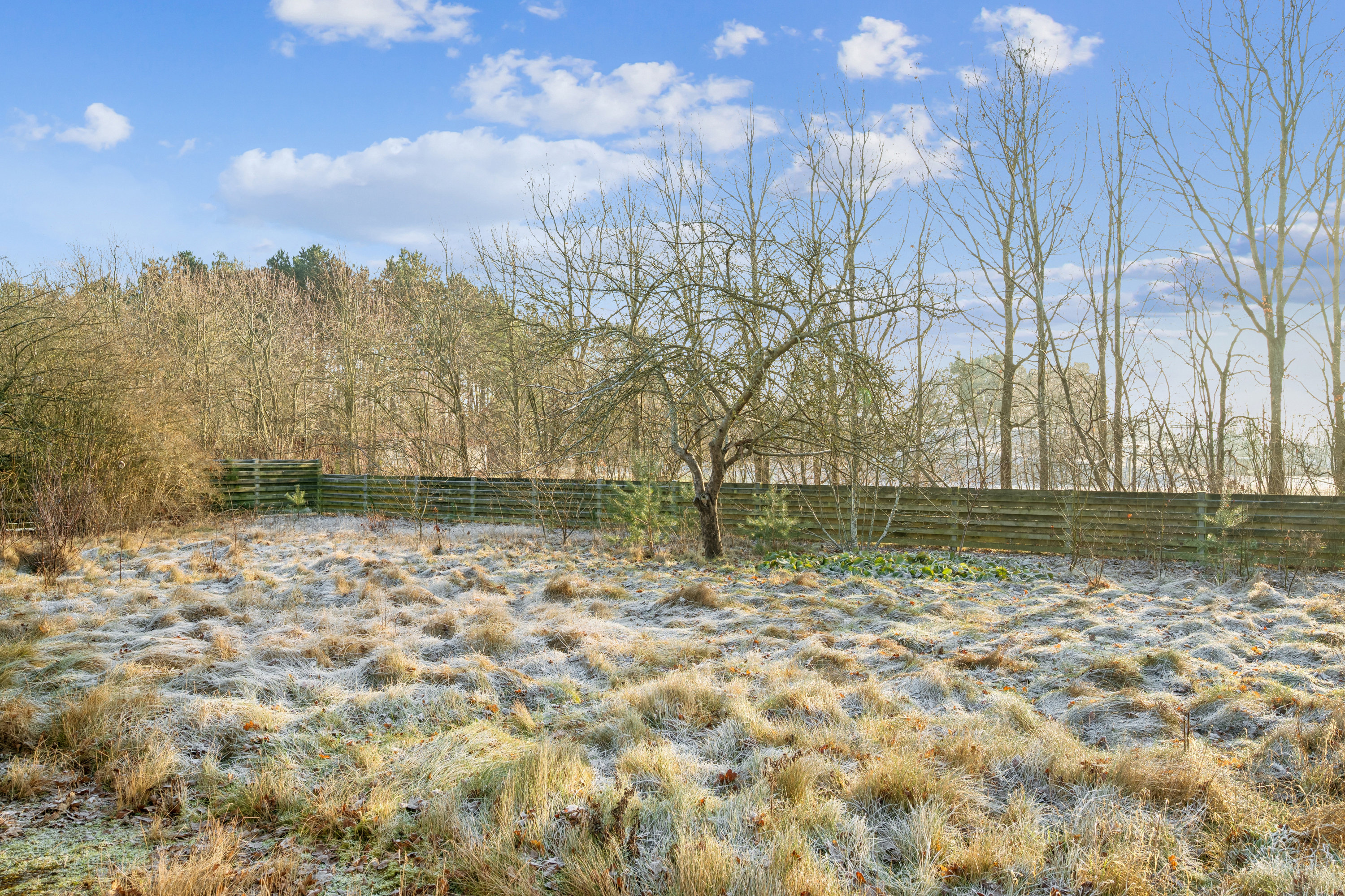 Fremhævet have billede i fuldskærmstilstand. Billede af Stadion Alle 10, 8963 Auning