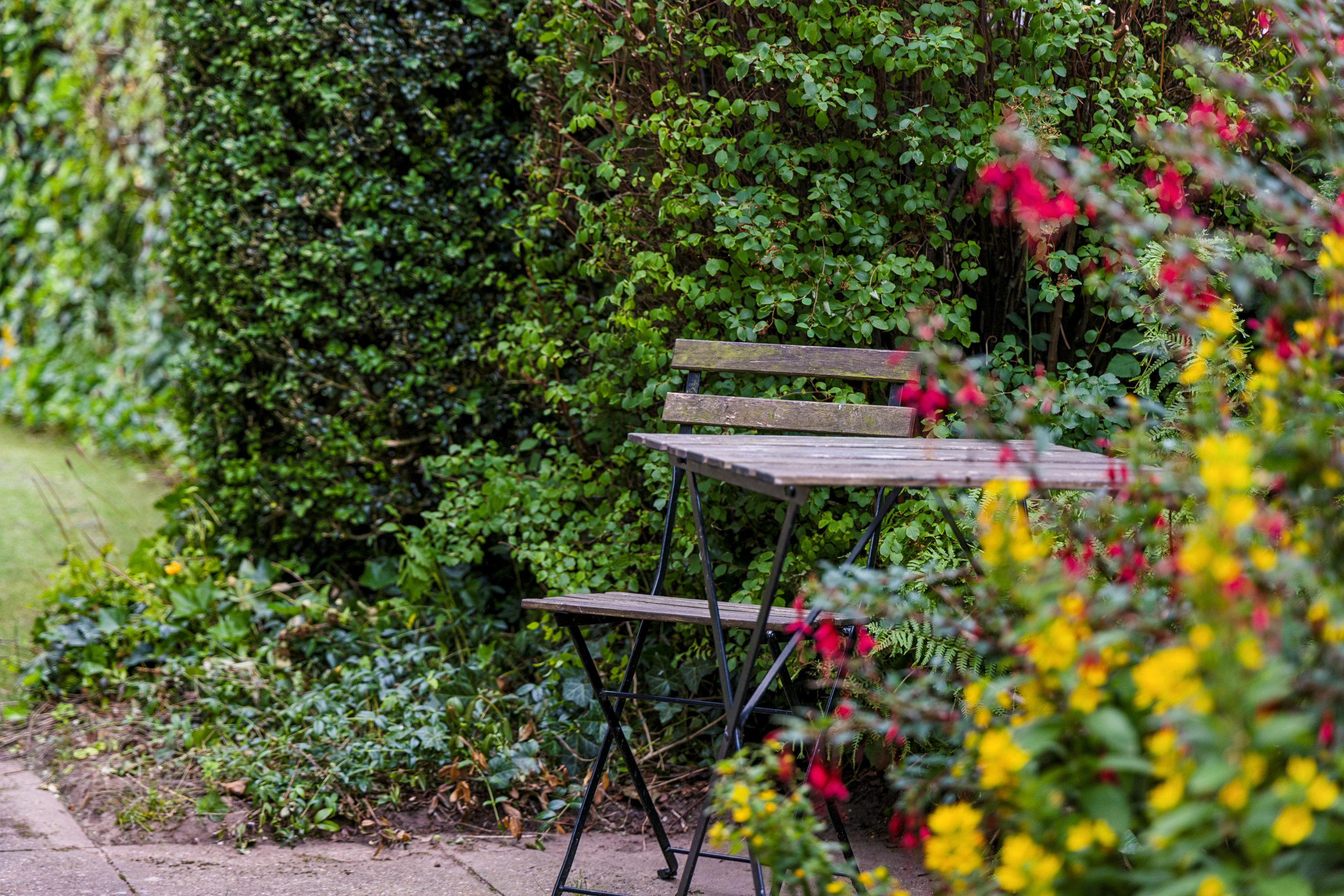 Fremhævet have billede i fuldskærmstilstand. Billede af Fresiavej 6, 9800 Hjørring