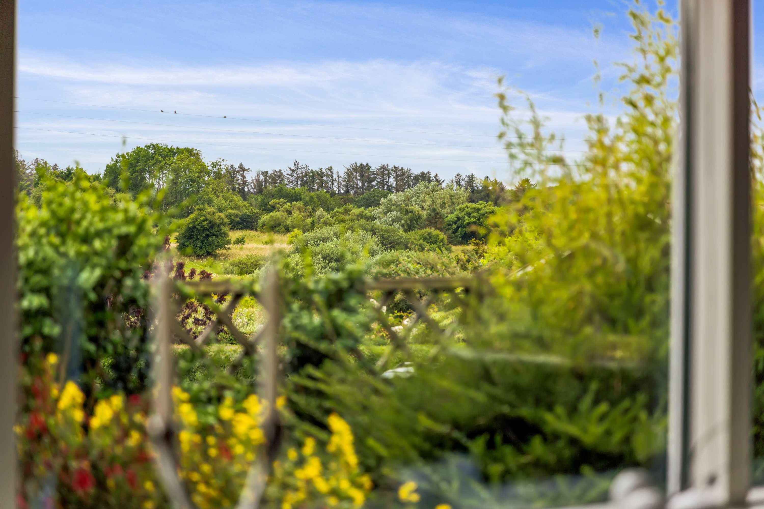 Fremhævet udsigt billede i fuldskærmstilstand. Billede af Fresiavej 6, 9800 Hjørring