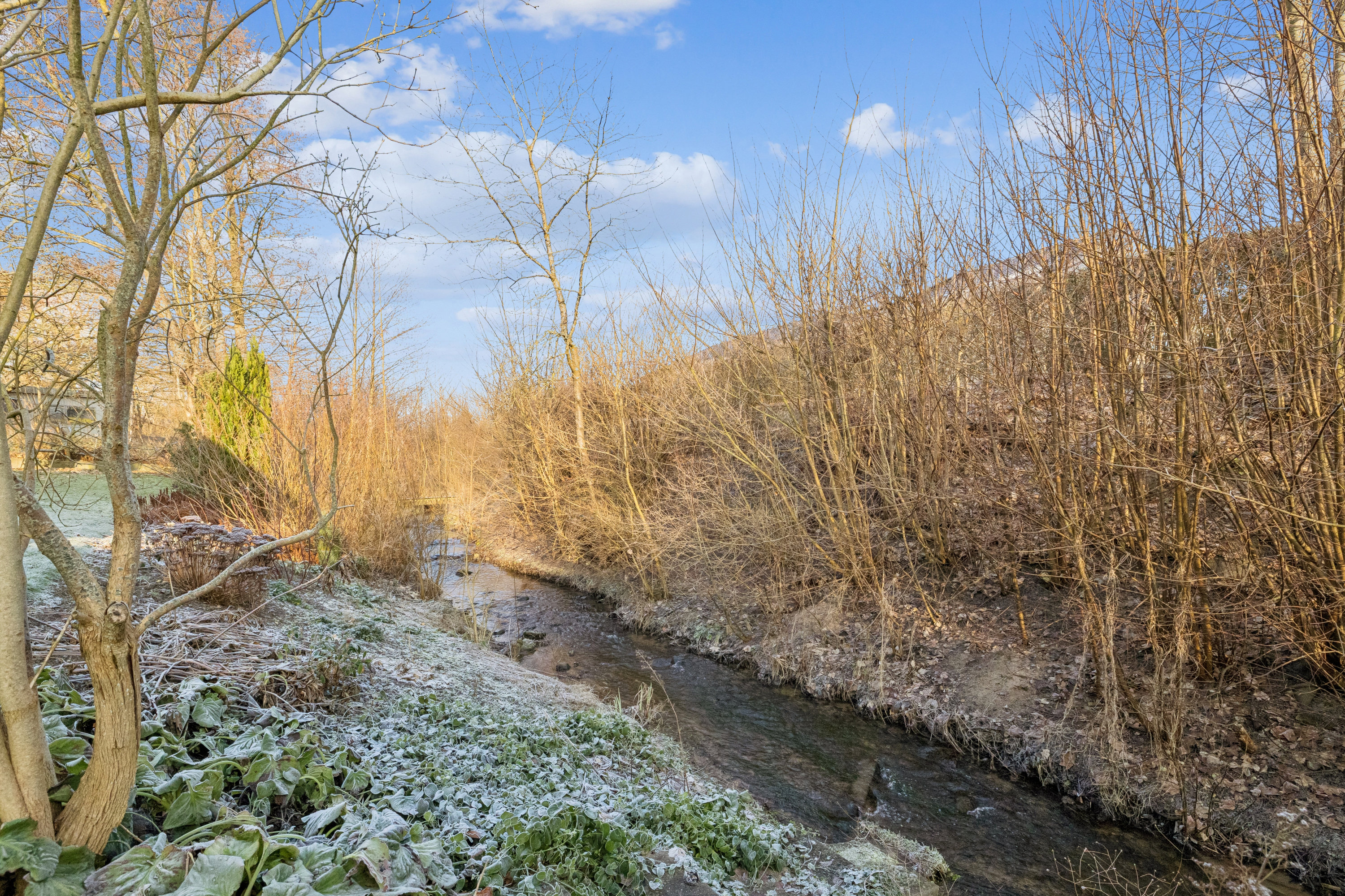 Fremhævet have billede i fuldskærmstilstand. Billede af Engvej 9C, Hobro By, 9500 Hobro