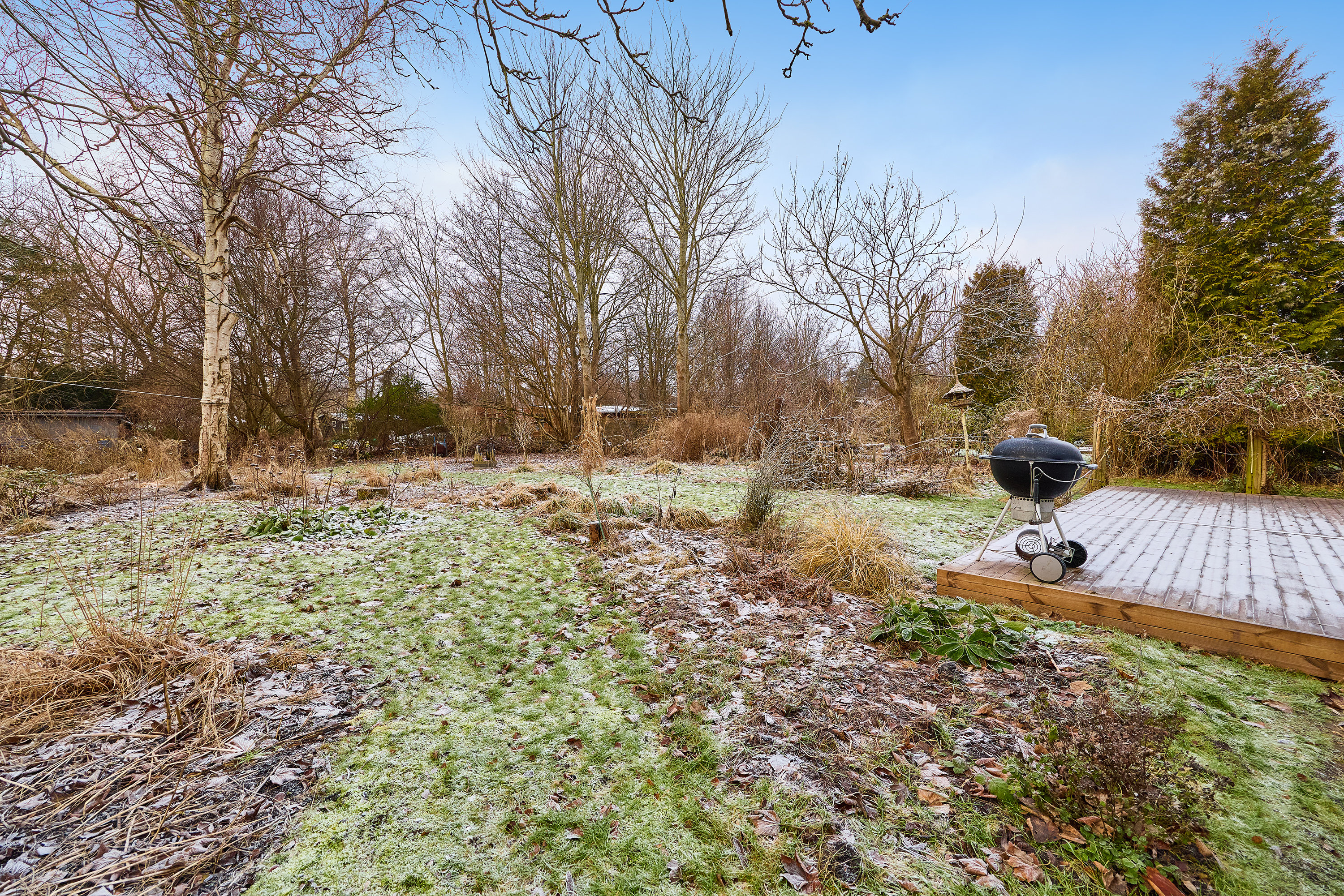 Fremhævet have billede i fuldskærmstilstand. Billede af Hyldevænget 23, Over Draaby Strand, 3630 Jægerspris