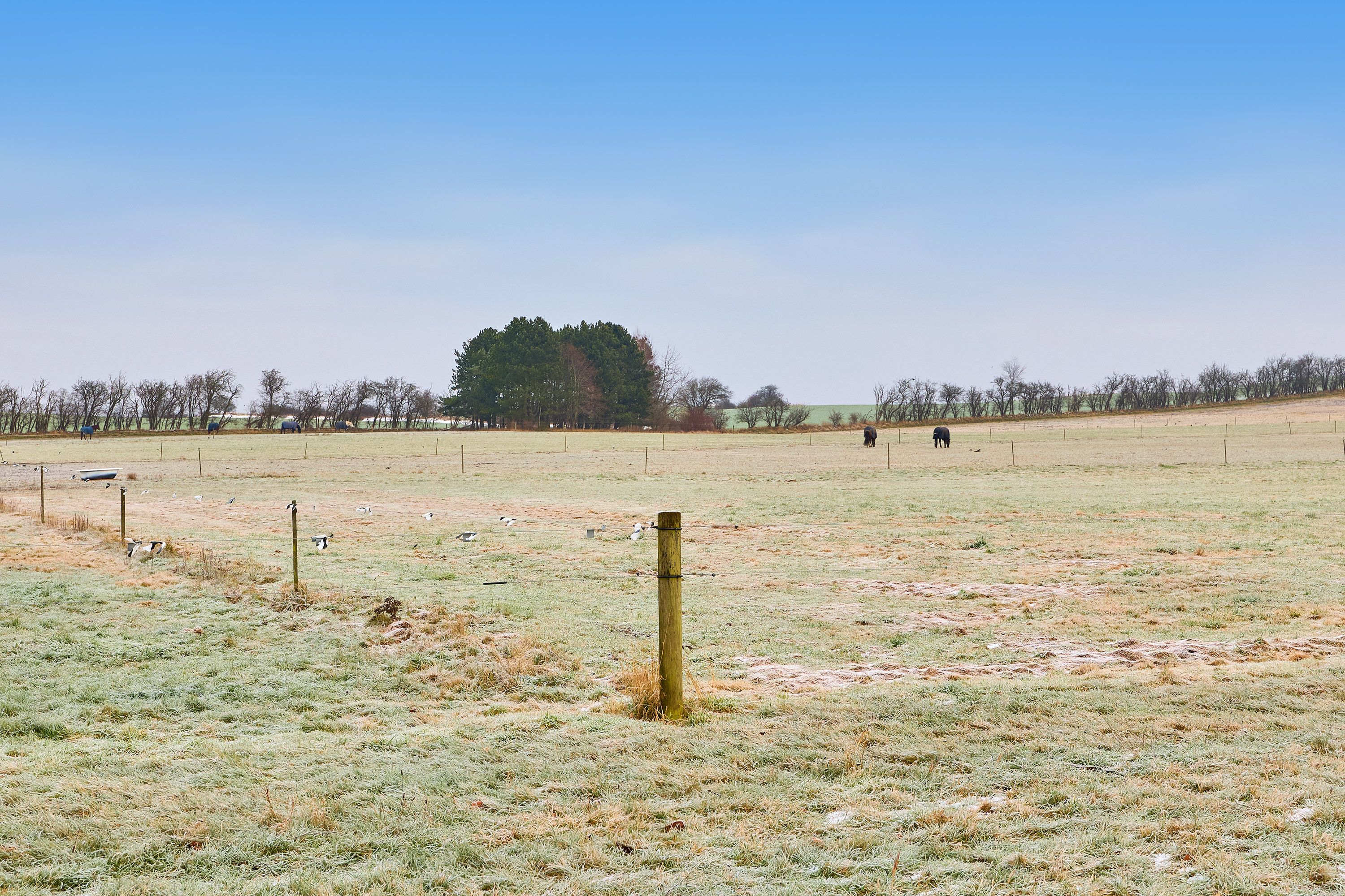 Fremhævet område billede i fuldskærmstilstand. Billede af Hyldevænget 23, Over Draaby Strand, 3630 Jægerspris