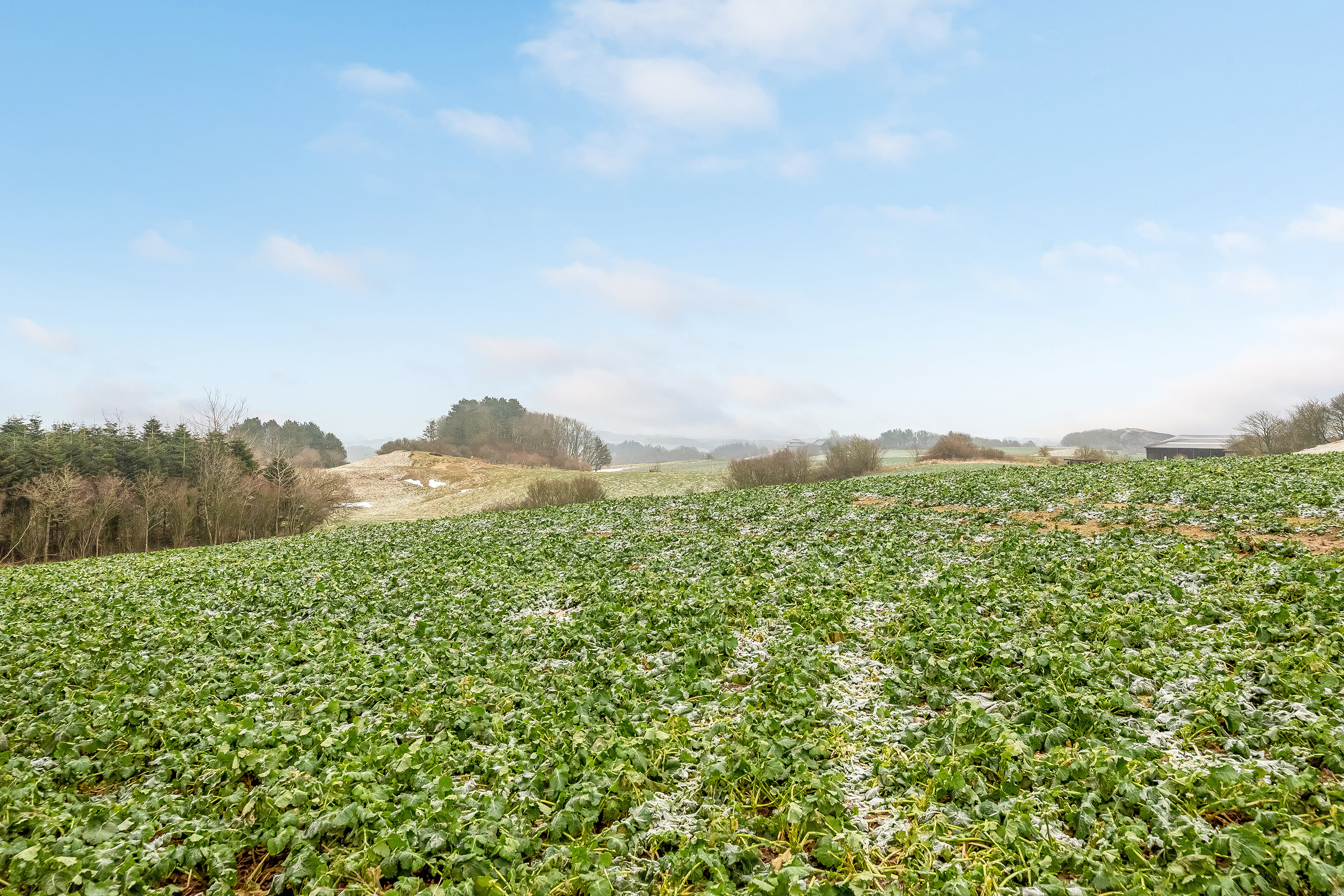 Fremhævet udsigt billede i fuldskærmstilstand. Billede af Trabjerggårdvej 40, Gudum, 7620 Lemvig