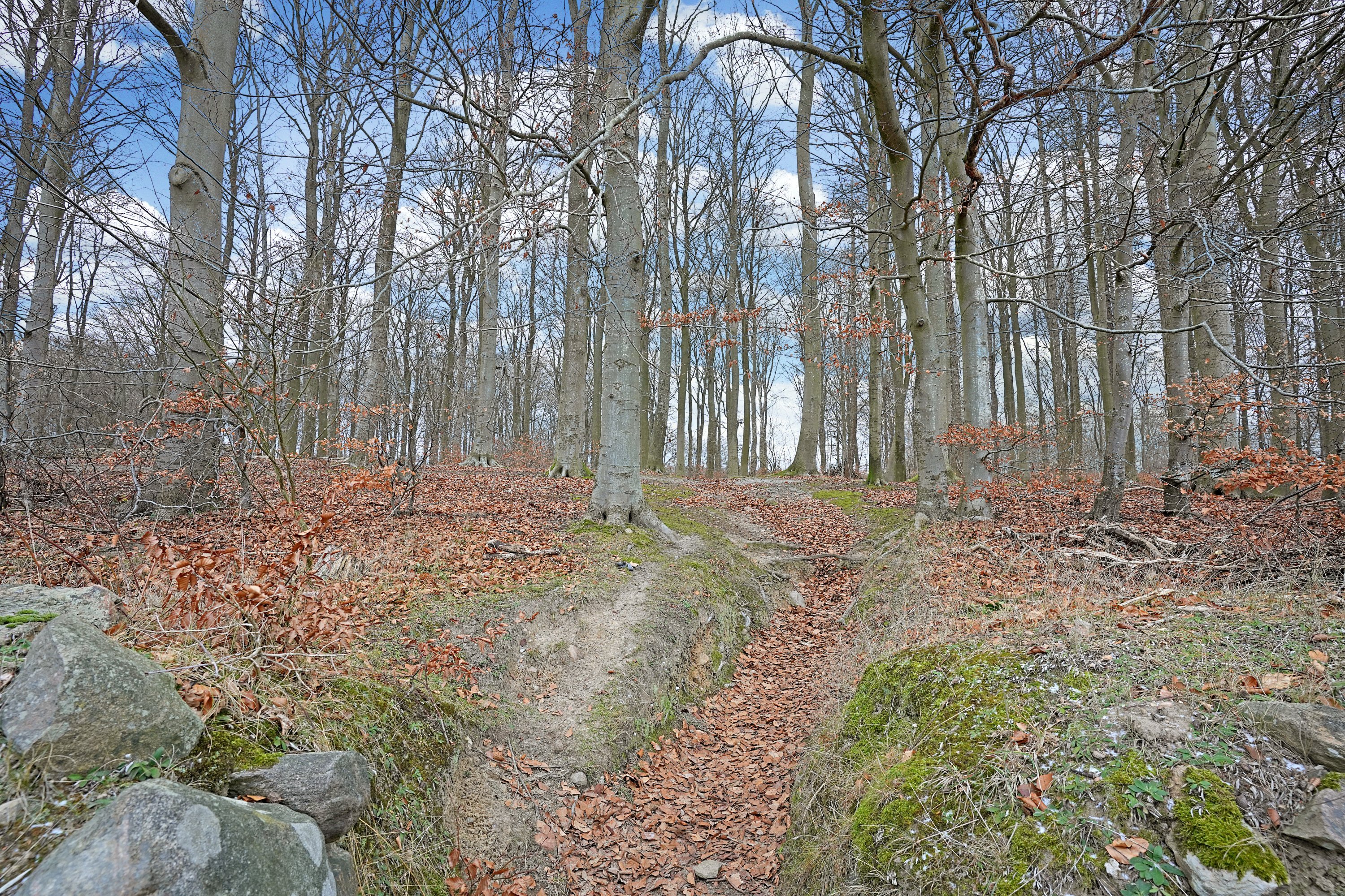 Fremhævet område billede i fuldskærmstilstand. Billede af Gammel Hareskovvej 249, Hareskov, 3500 Værløse