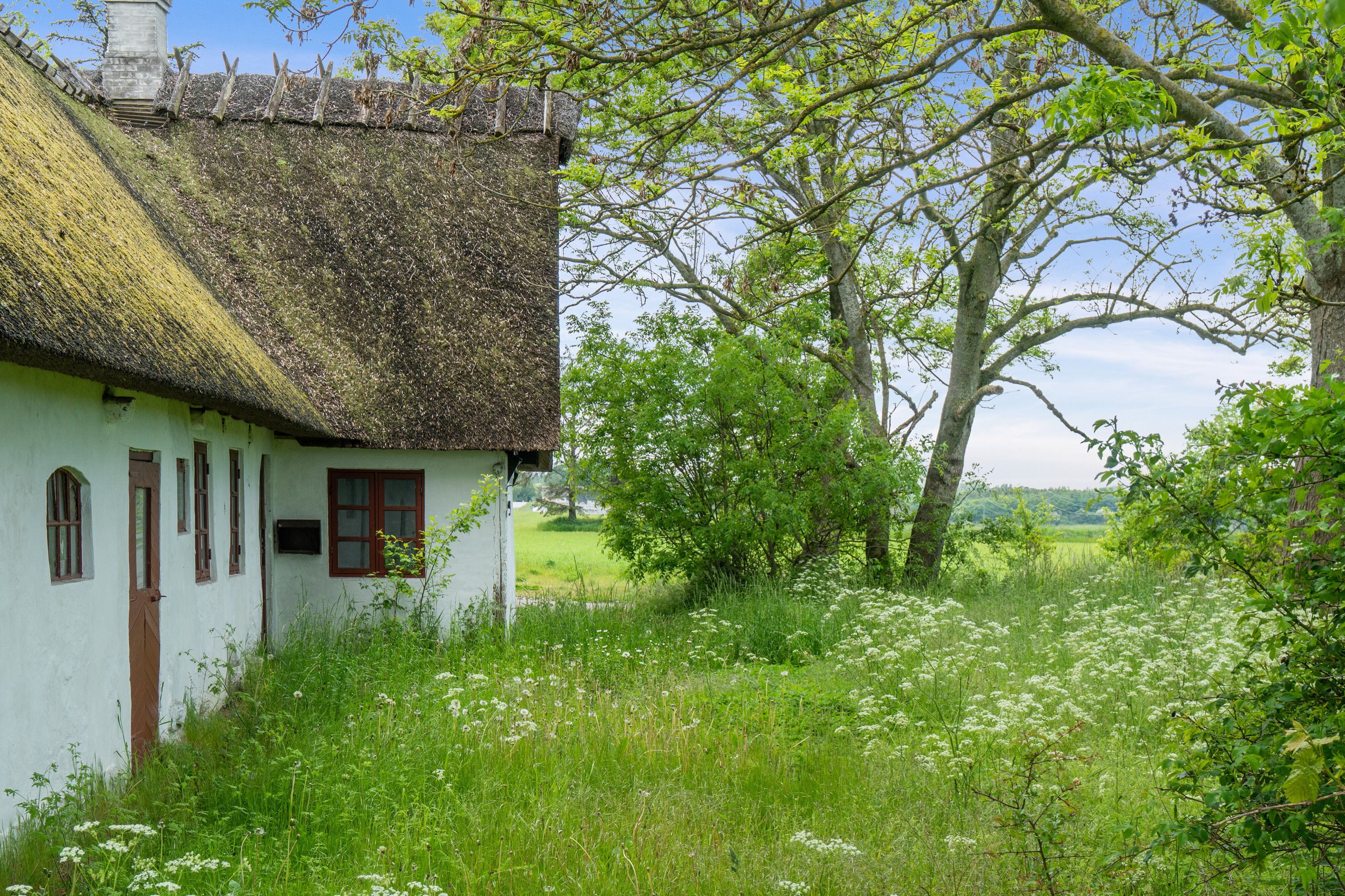 Fremhævet set fra haven billede i fuldskærmstilstand. Billede af Oddenvej 62, Tengslemark, 4500 Nykøbing Sj
