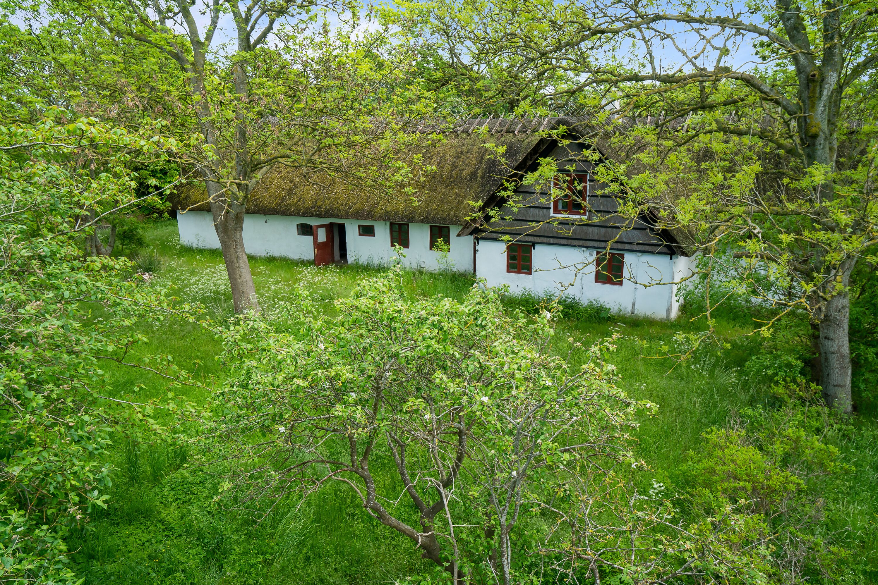 Fremhævet set fra haven billede i fuldskærmstilstand. Billede af Oddenvej 62, Tengslemark, 4500 Nykøbing Sj