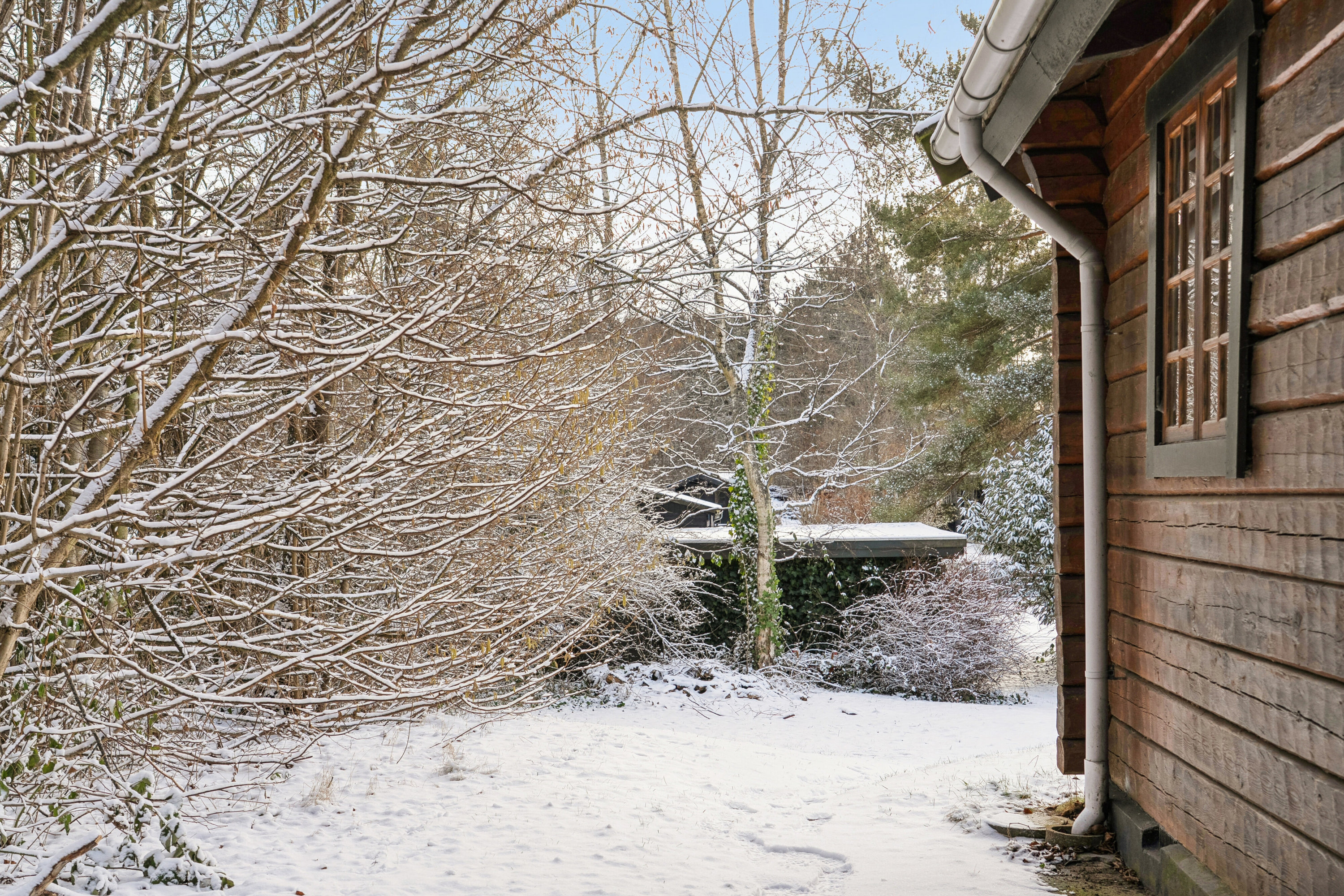 Fremhævet udendørs billede i fuldskærmstilstand. Billede af Hybenvej 24, 3100 Hornbæk