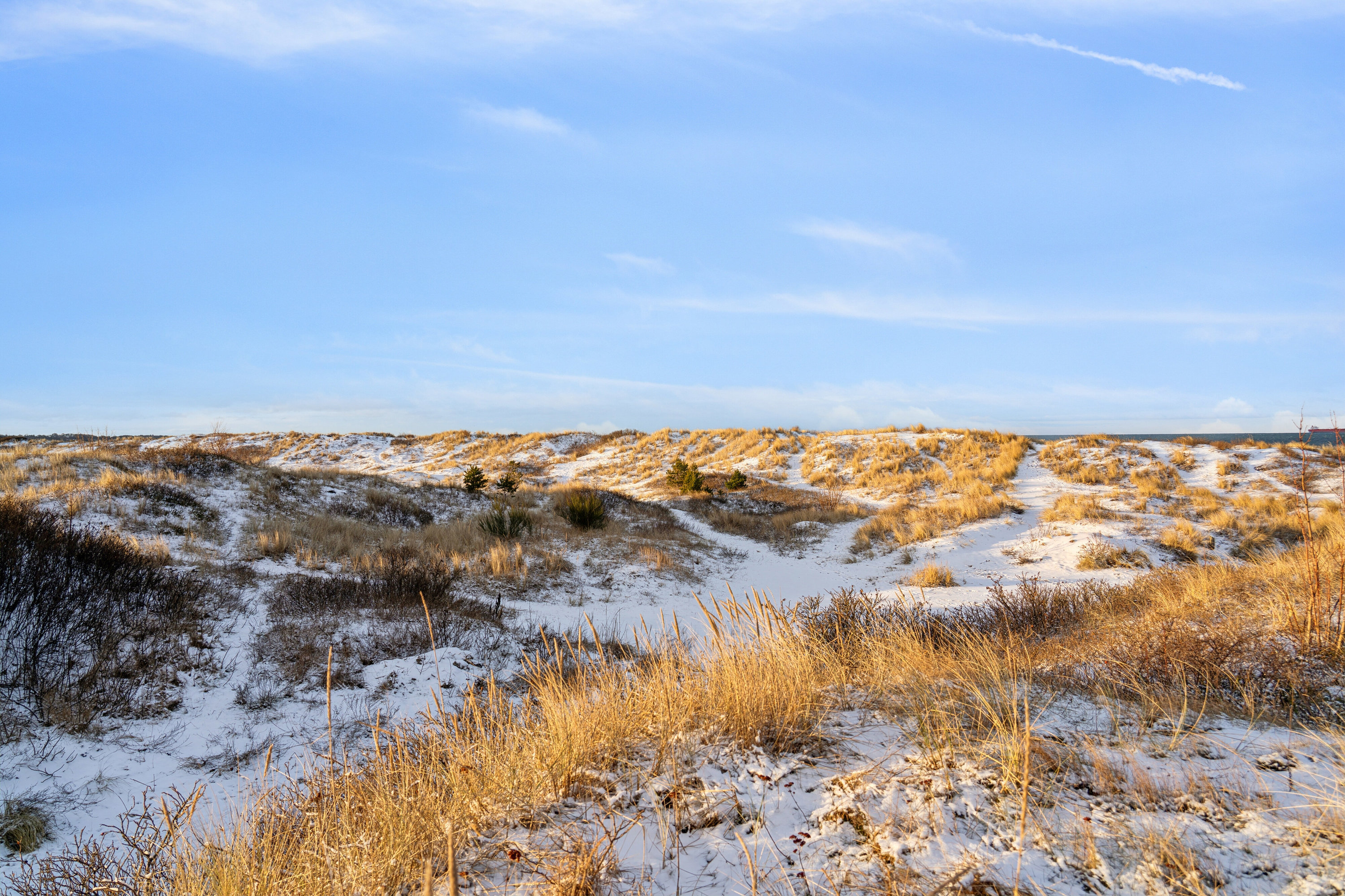 Fremhævet omgivelser billede i fuldskærmstilstand. Billede af Hybenvej 24, 3100 Hornbæk