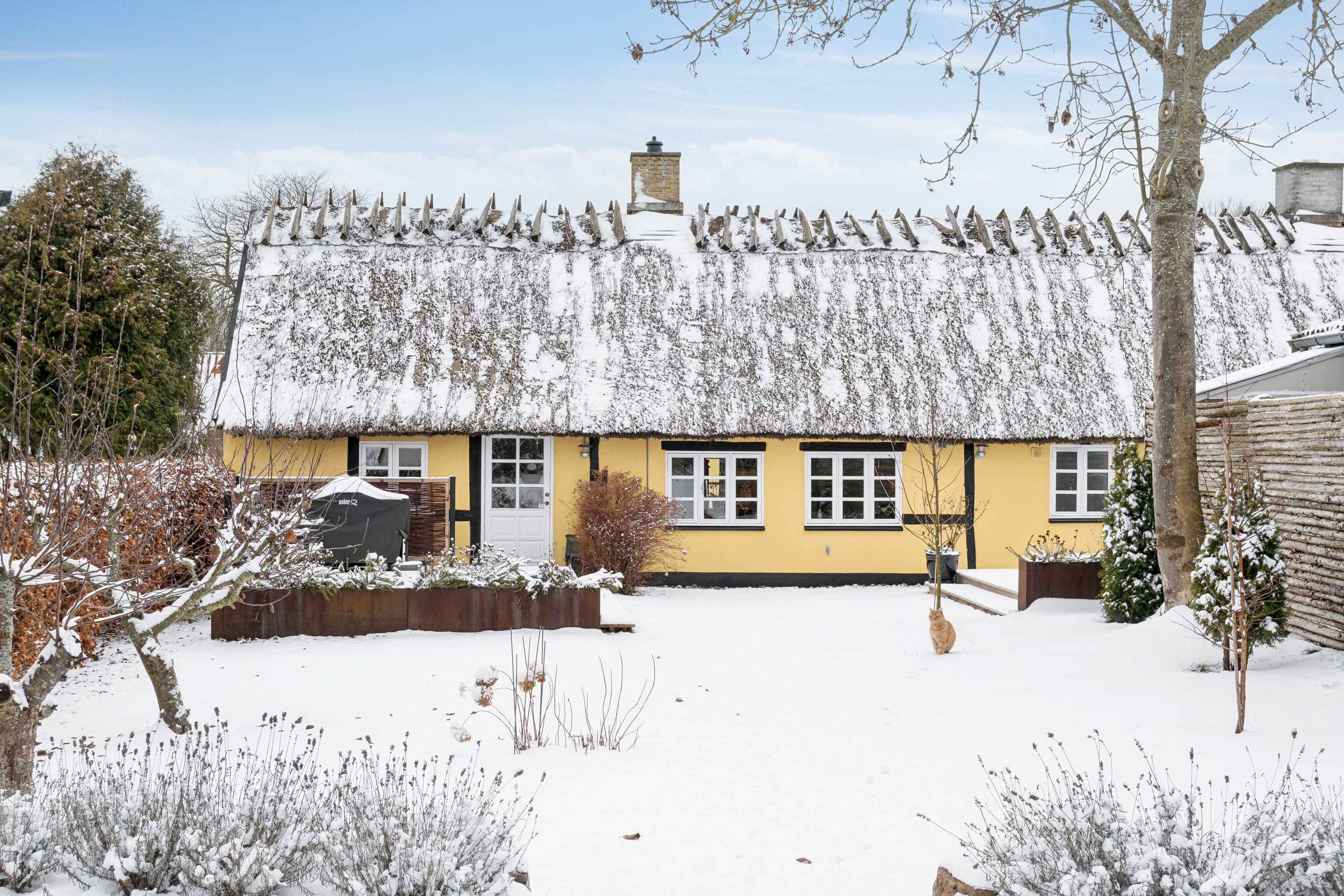 Rækkehus: Set fra vejen på Kattinge Bygade 3A, Kattinge, 4000 Roskilde