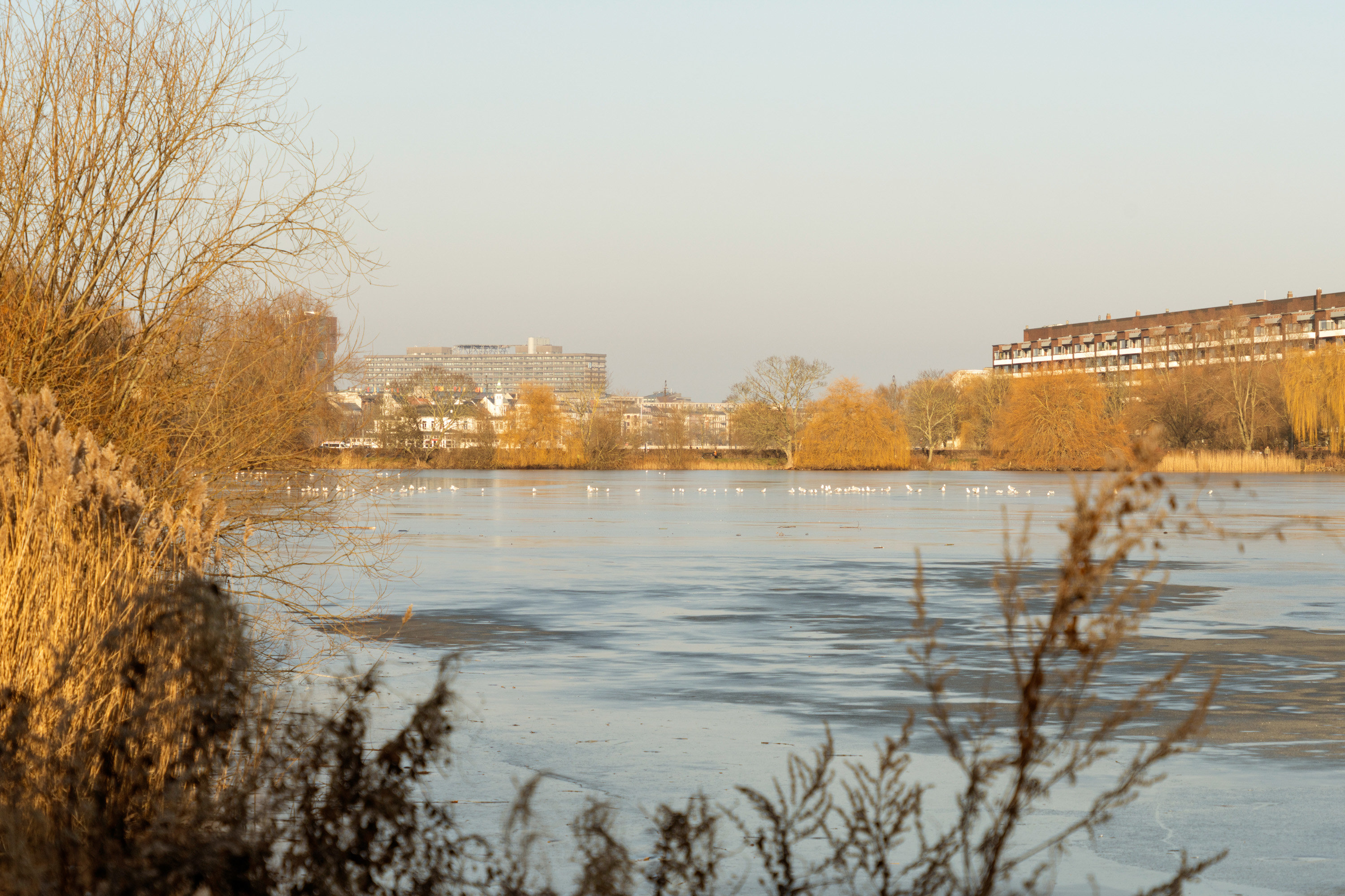 Fremhævet  billede i fuldskærmstilstand. Billede af Vodroffsvej 2B, 1. th., 1900 Frederiksberg C