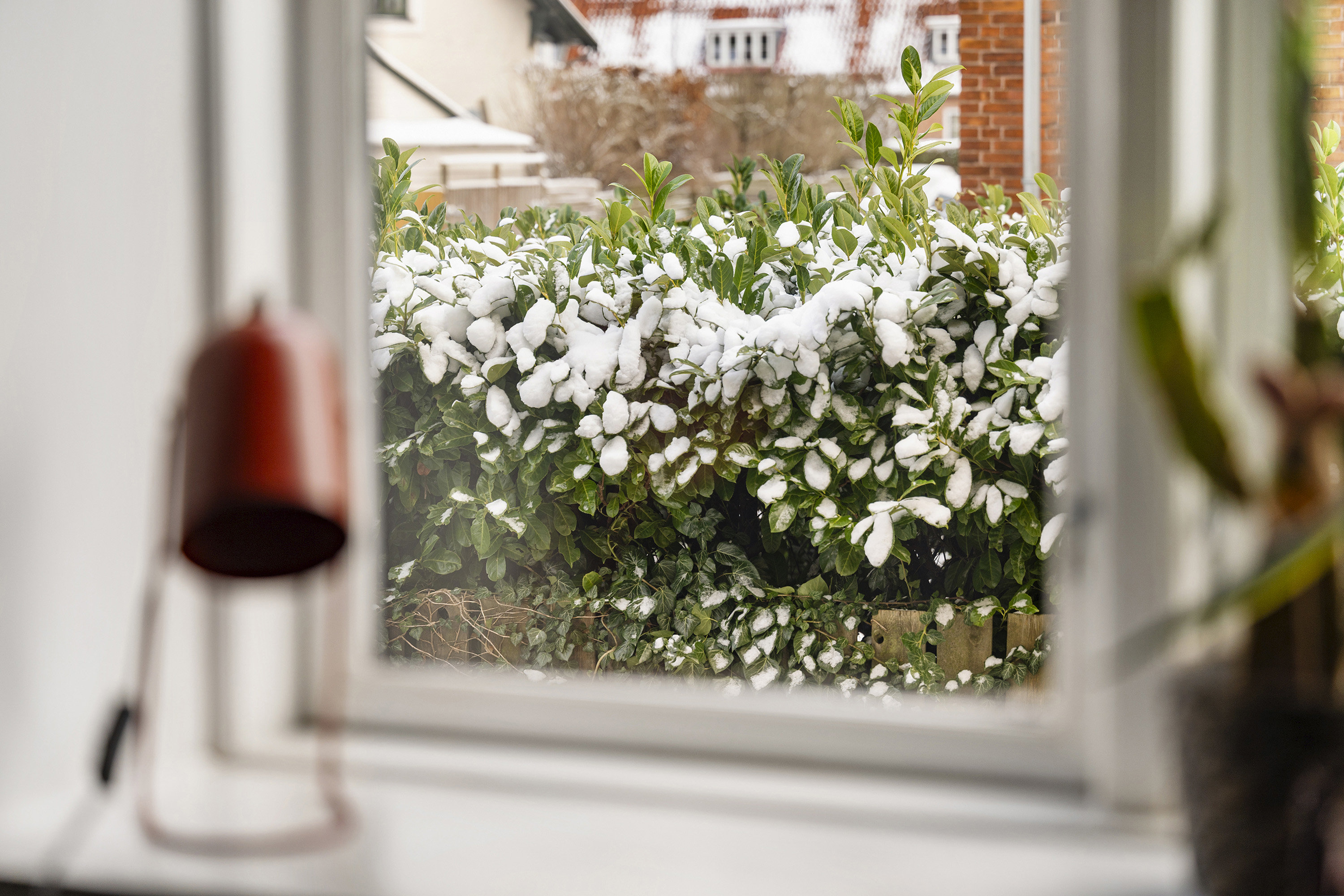 Fremhævet område billede i fuldskærmstilstand. Billede af Broholms Alle 40, st.. tv., 2920 Charlottenlund