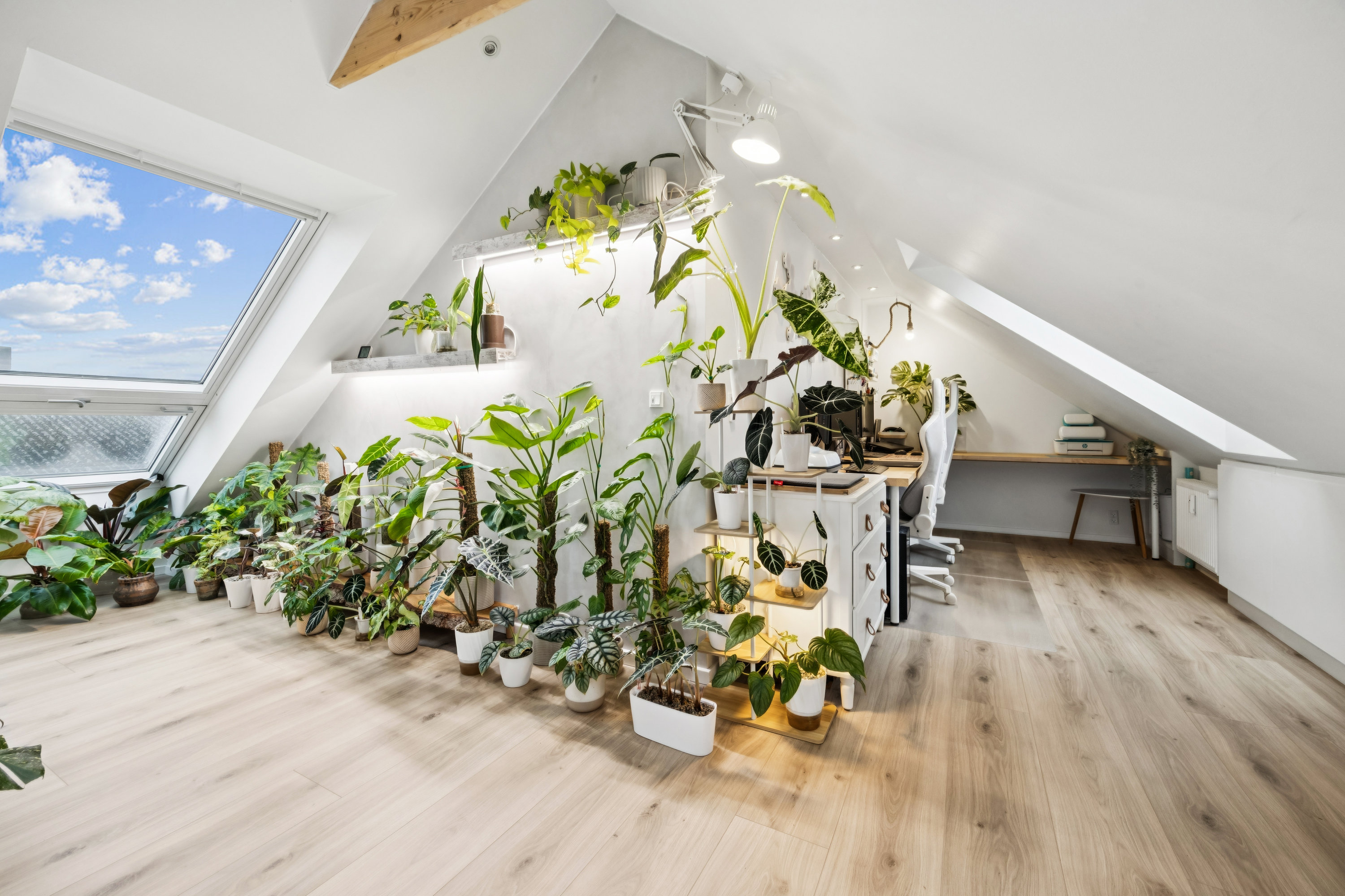 Fremhævet værelse billede i fuldskærmstilstand. Billede af Dronningensgade 19, 2. tv., 9400 Nørresundby