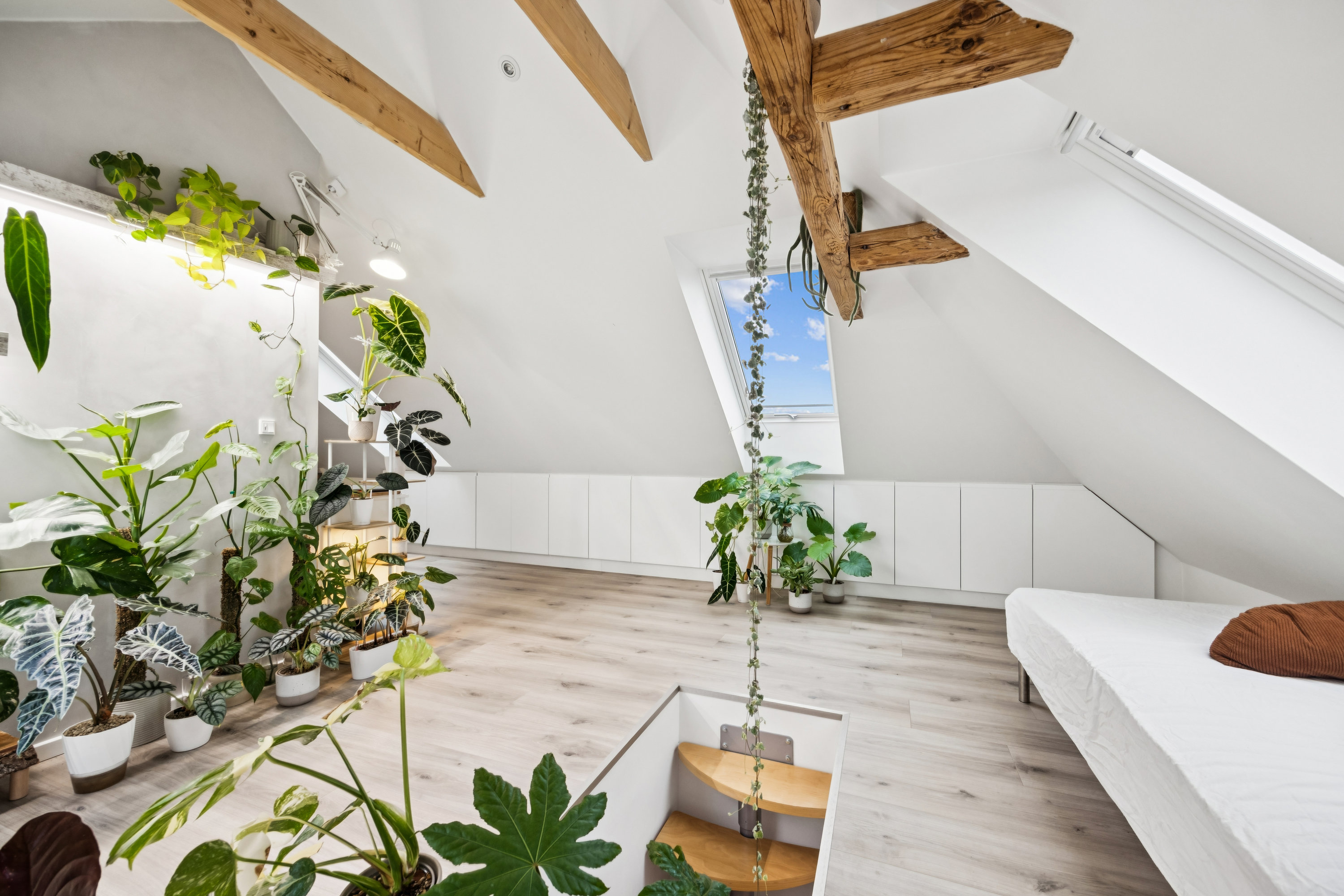 Fremhævet trappe billede i fuldskærmstilstand. Billede af Dronningensgade 19, 2. tv., 9400 Nørresundby