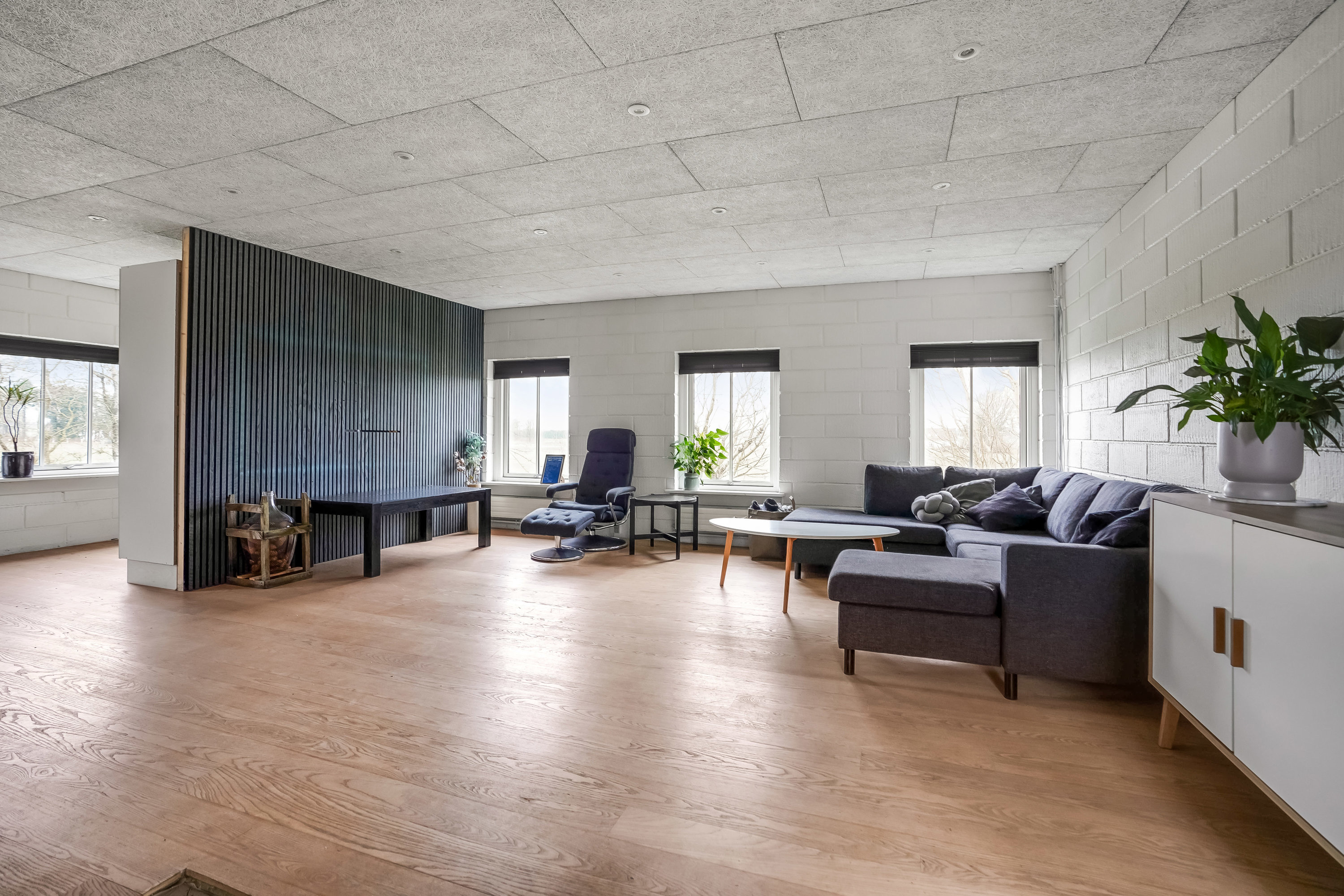 Fremhævet stue billede i fuldskærmstilstand. Billede af Tørrildvej 6, 7300 Jelling