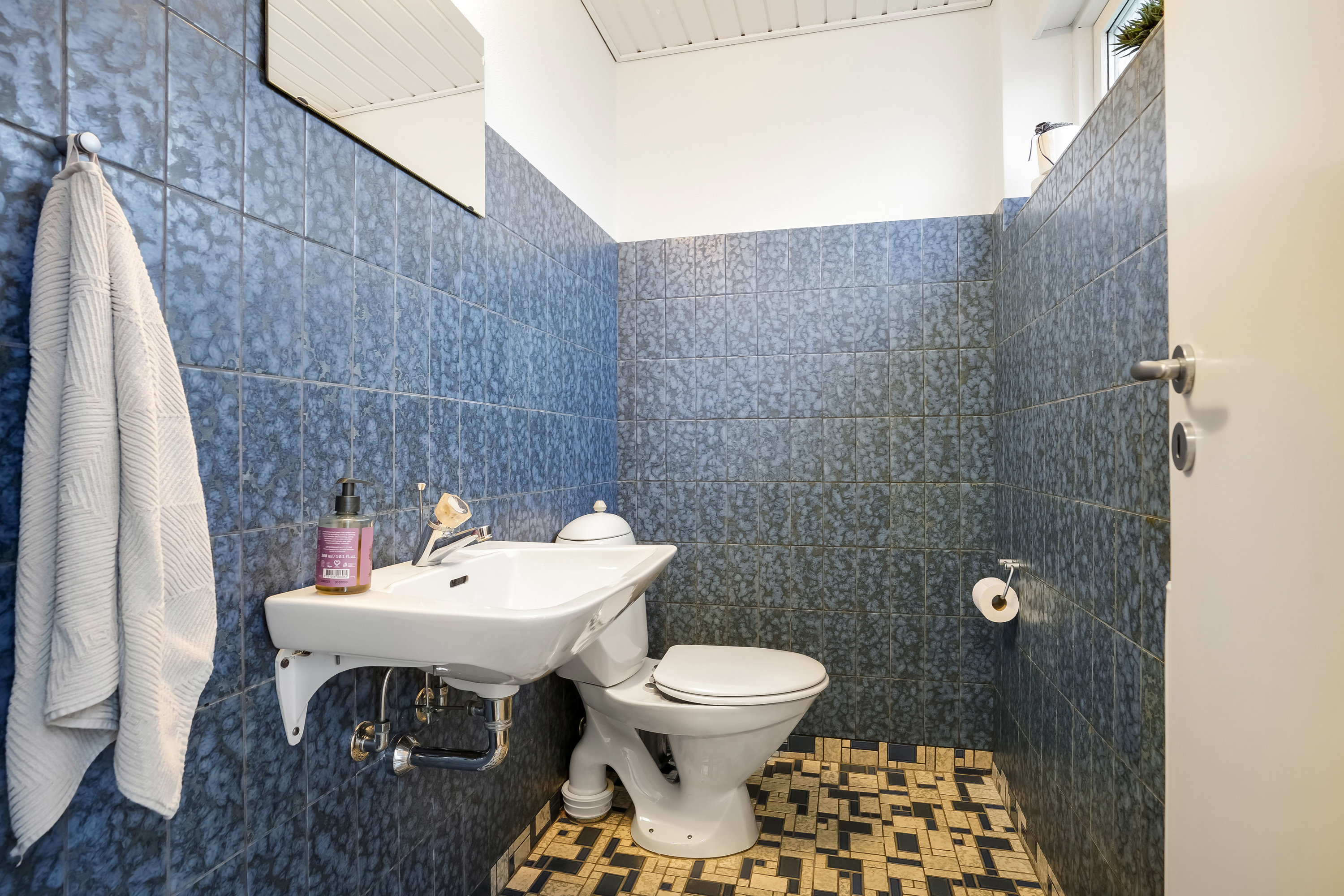 Fremhævet toilet billede i fuldskærmstilstand. Billede af Højager 78, 7300 Jelling