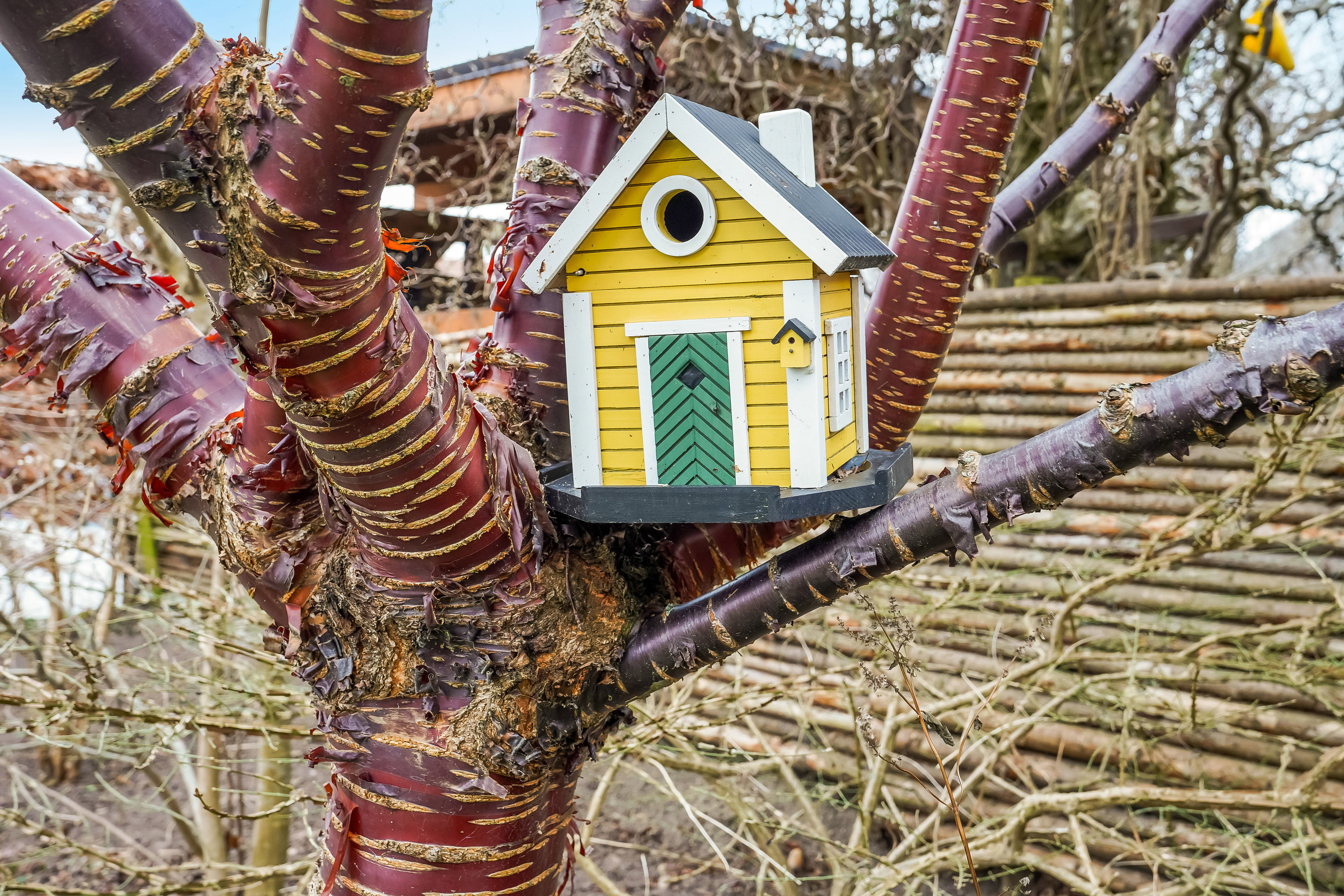 Fremhævet ejendommen billede i fuldskærmstilstand. Billede af Læssøegade 169, 5230 Odense M