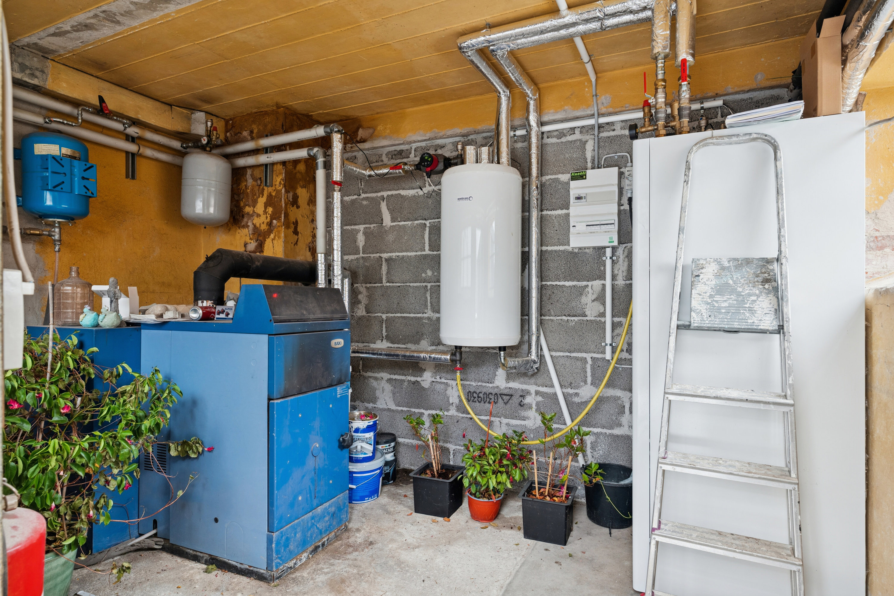 Fremhævet indendørs billede i fuldskærmstilstand. Billede af Guldborgvej 282, Guldborg, 4862 Guldborg