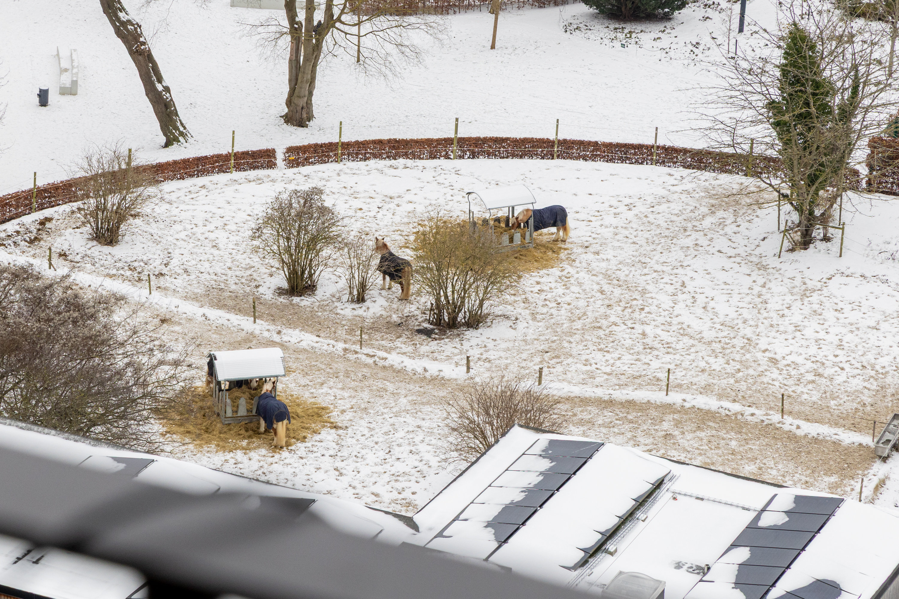 Fremhævet udsigt billede i fuldskærmstilstand. Billede af Olivia Hansens Gade 4, 16. 2., 1799 København V