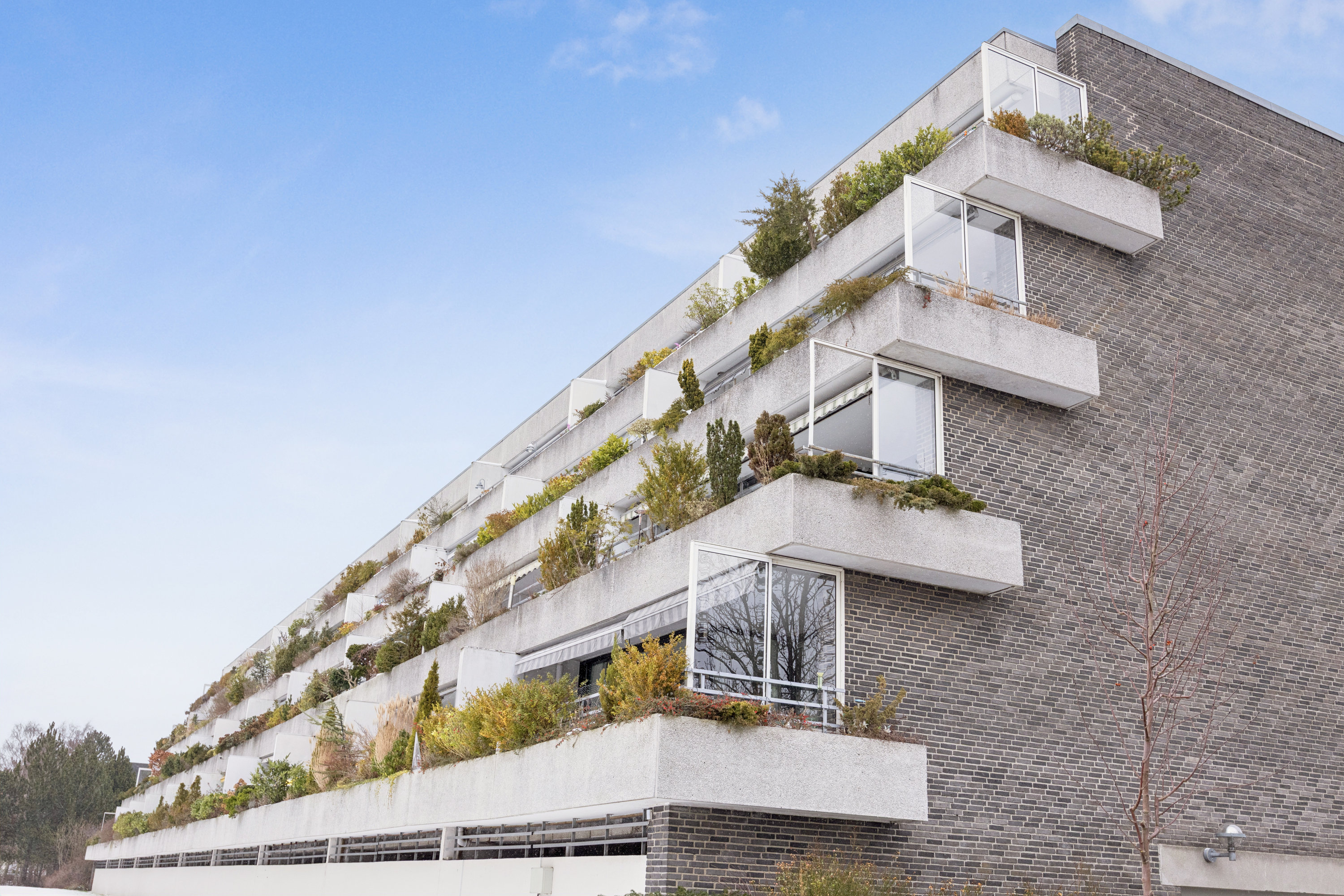 Fremhævet andet billede i fuldskærmstilstand. Billede af Betty Nansens Alle 31, 3. th., 2000 Frederiksberg