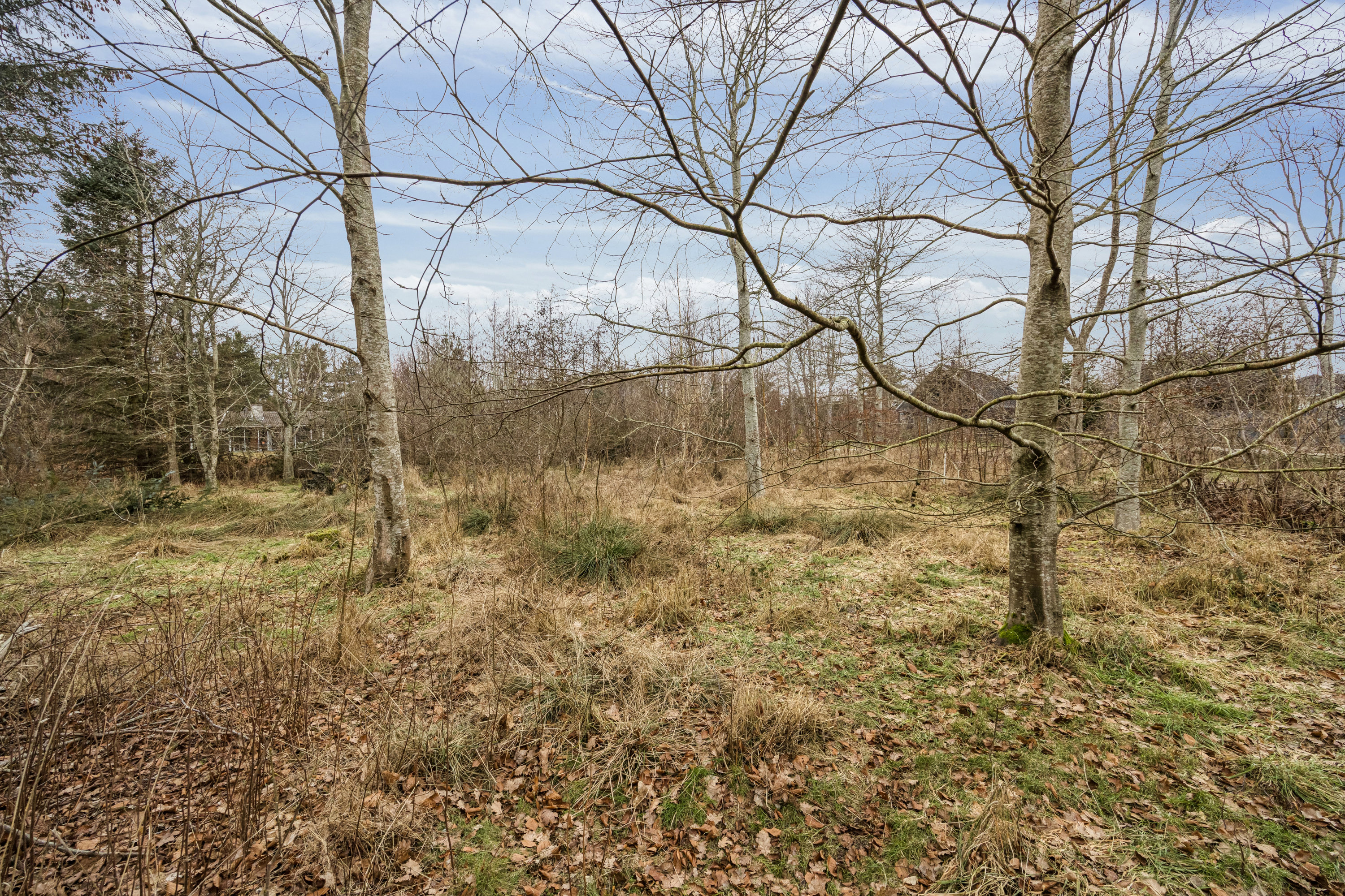 Fremhævet grund billede i fuldskærmstilstand. Billede af Sønder Havsig 59, Hou, 9370 Hals