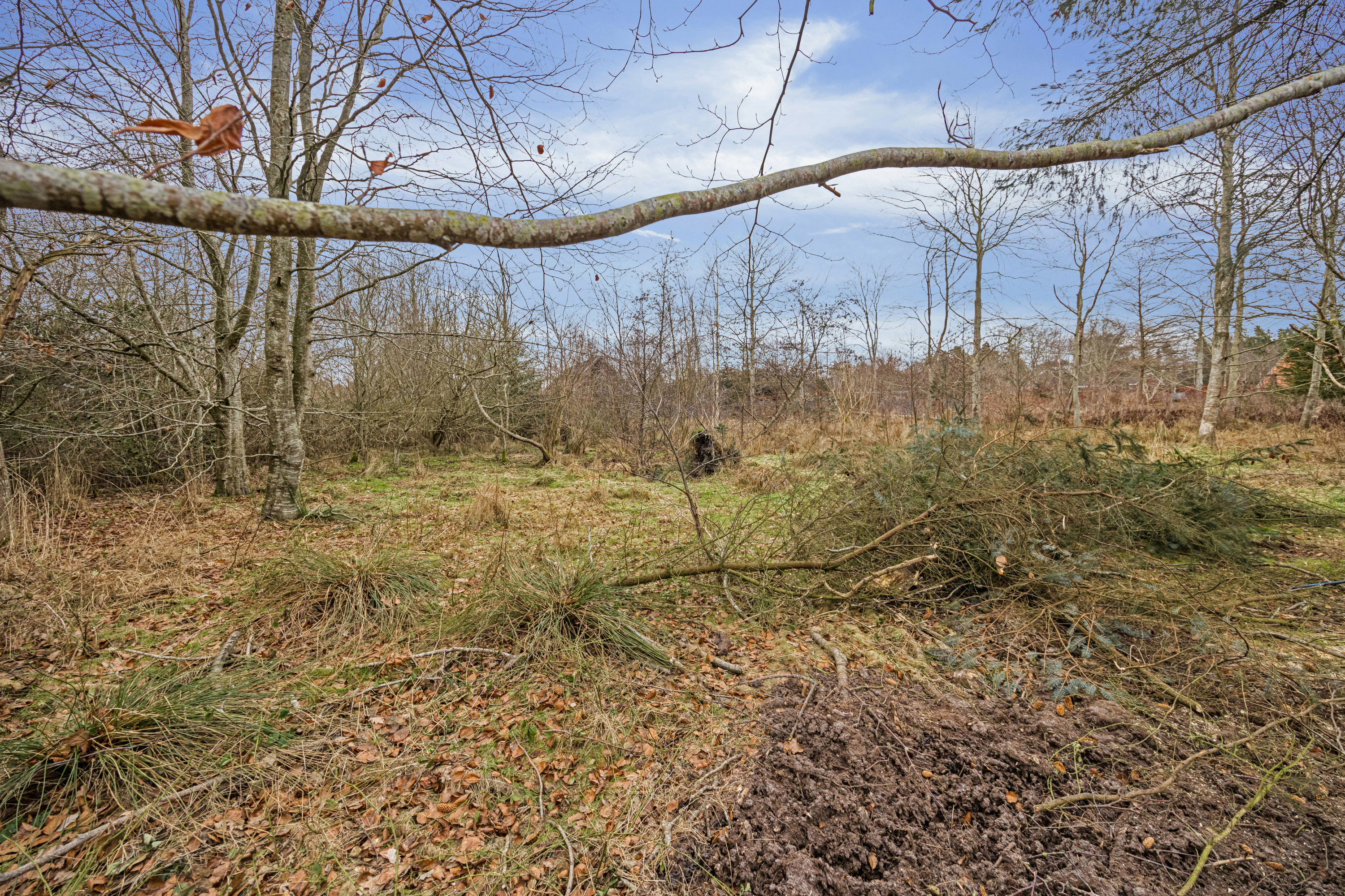 Fremhævet område billede i fuldskærmstilstand. Billede af Sønder Havsig 59, Hou, 9370 Hals