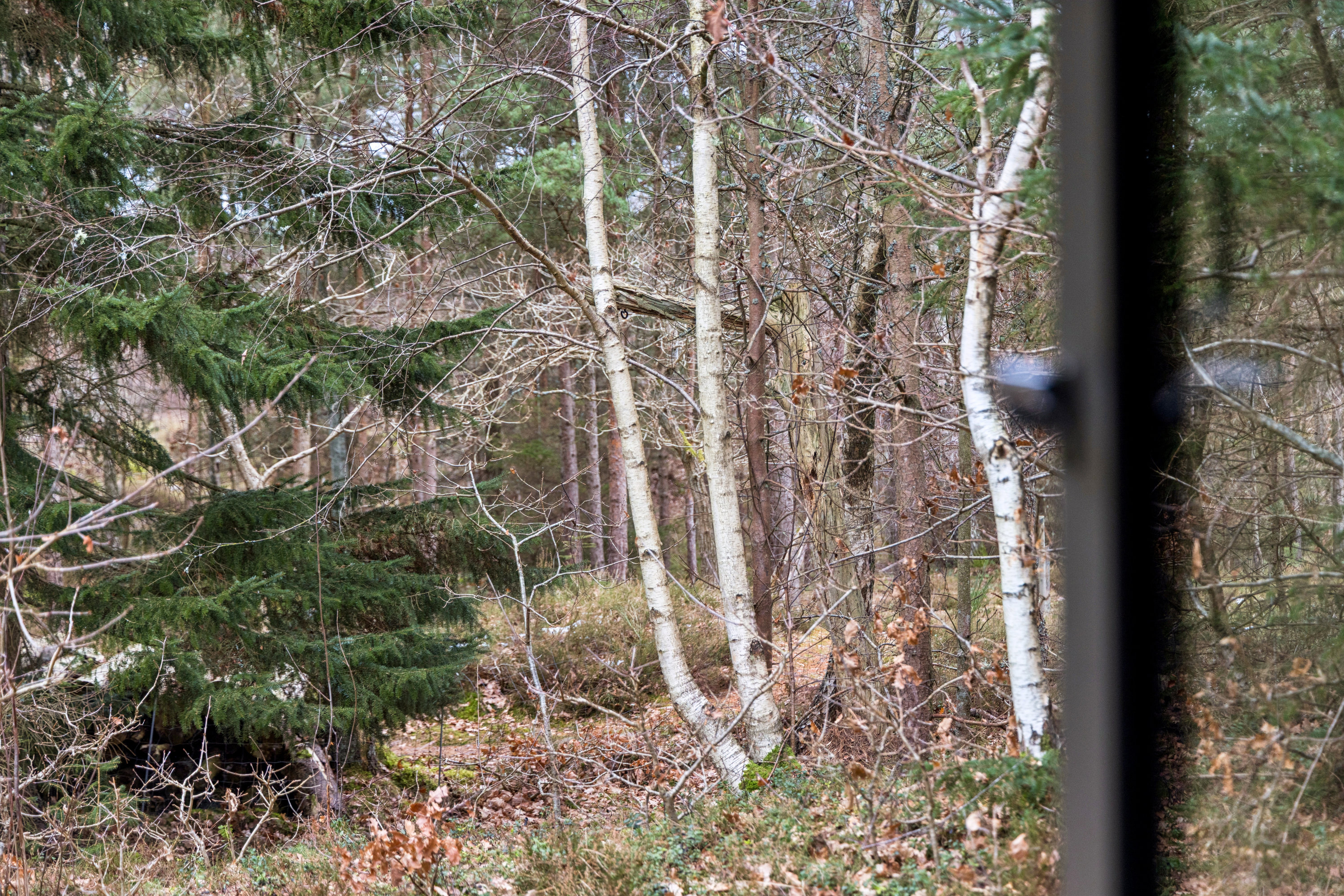 Fremhævet grund billede i fuldskærmstilstand. Billede af Plantagevej 18, Gl Bisnap, 9370 Hals