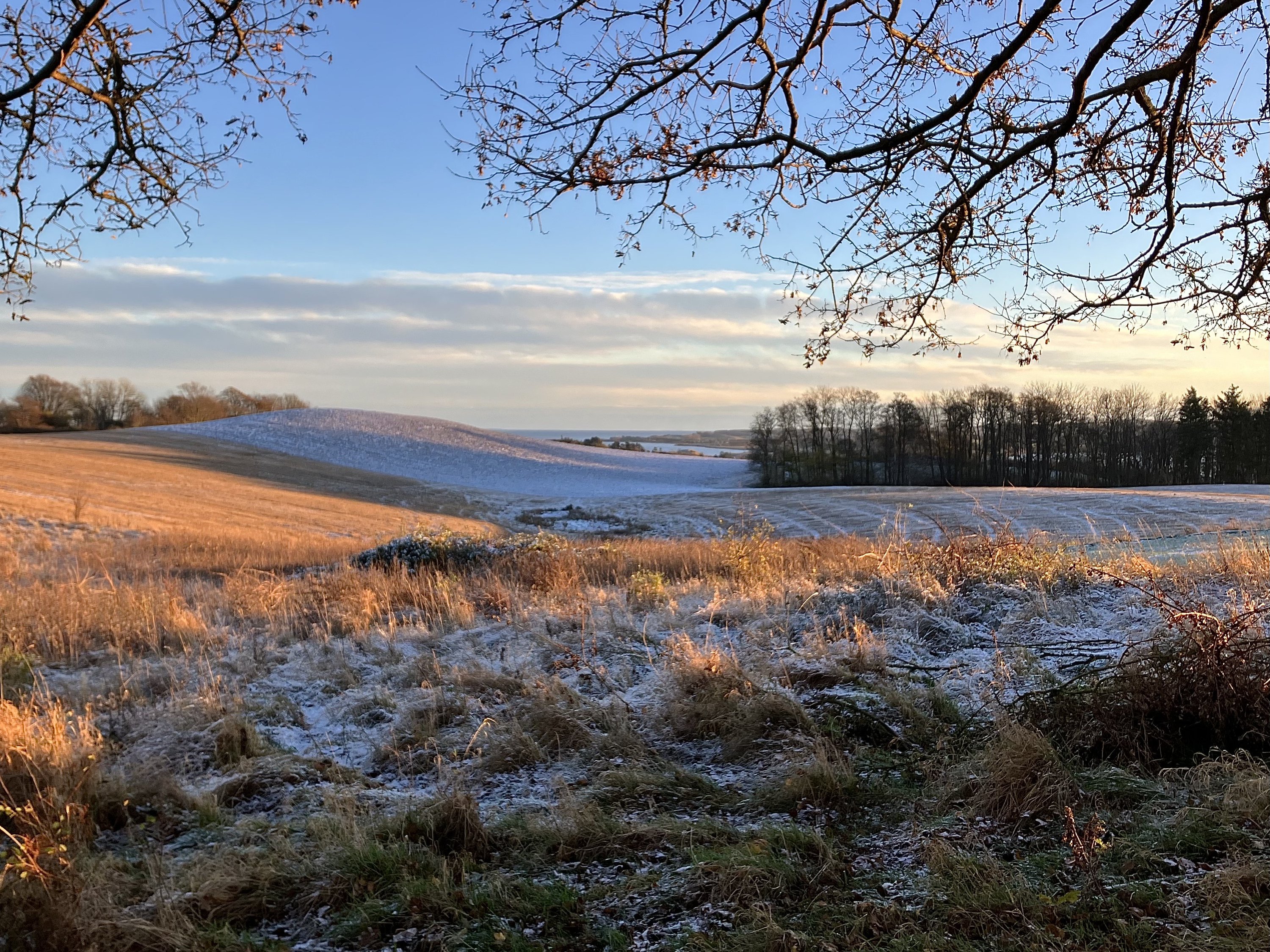 Skovsangervej 7, Begtrup, 8420 Knebel
