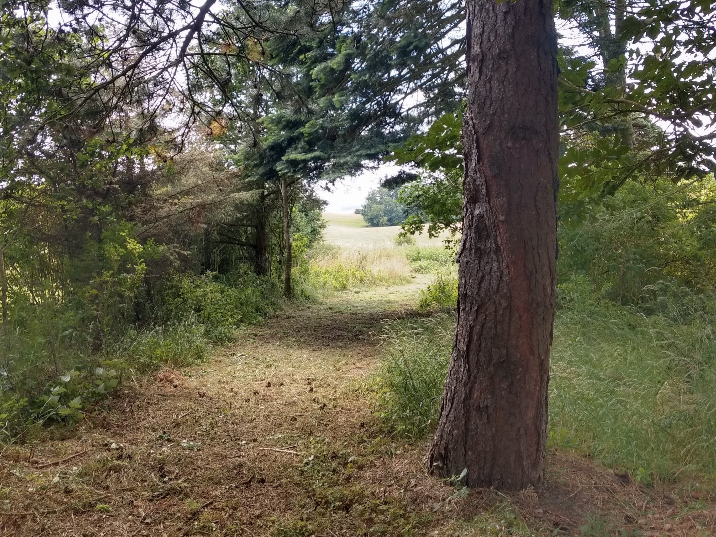 Fremhævet  billede i fuldskærmstilstand. Billede af Skovsangervej 7, Begtrup, 8420 Knebel