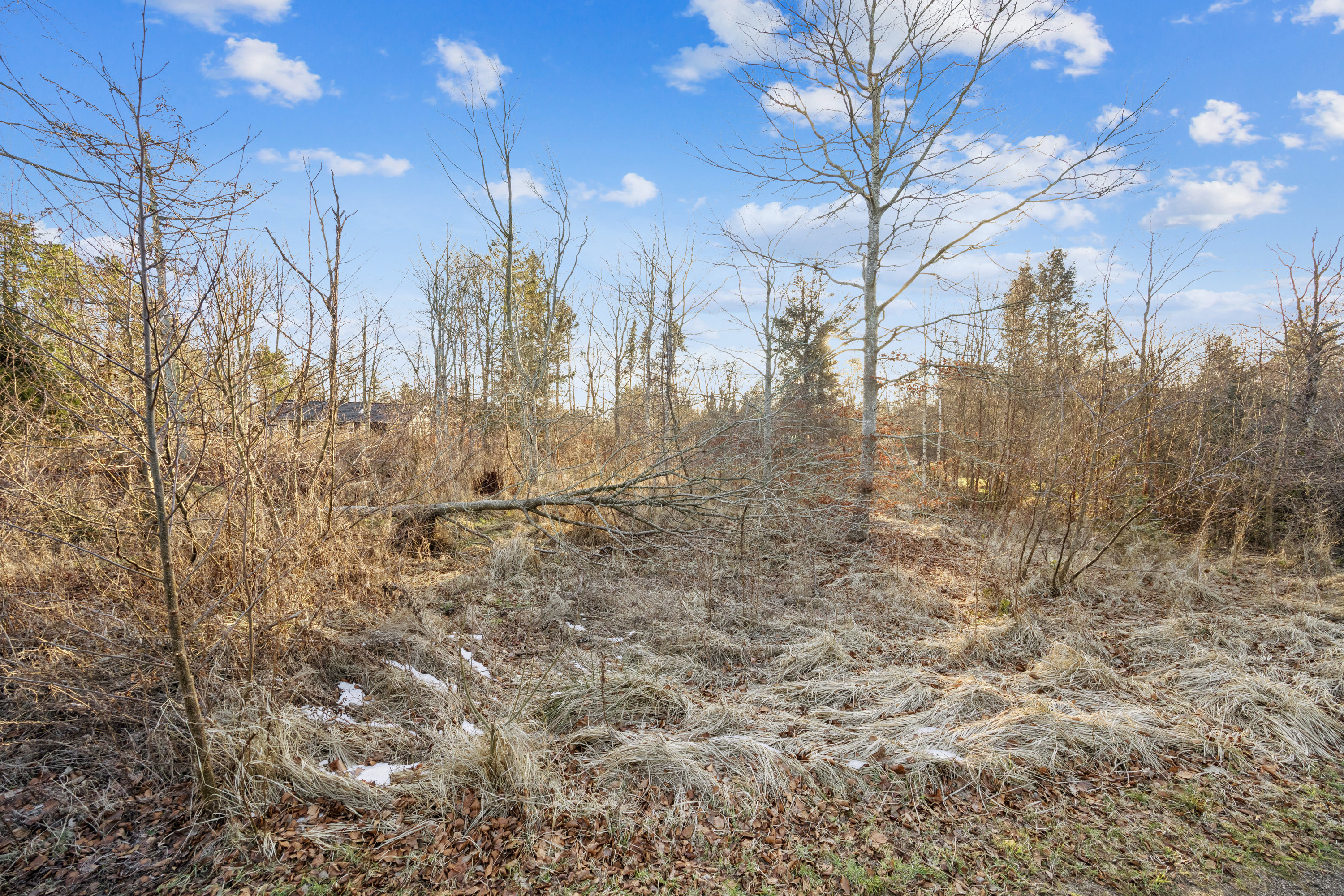 Miniaturebillede 1: andet. Billede af Sønder Havsig 59, Hou, 9370 Hals