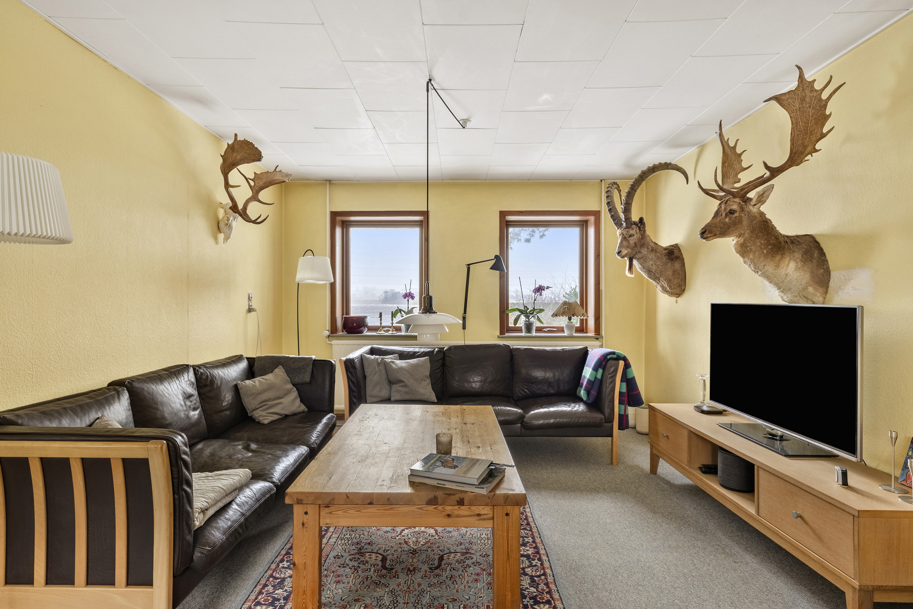 Fremhævet stue billede i fuldskærmstilstand. Billede af Hemmeshøjvej 12, 4241 Vemmelev