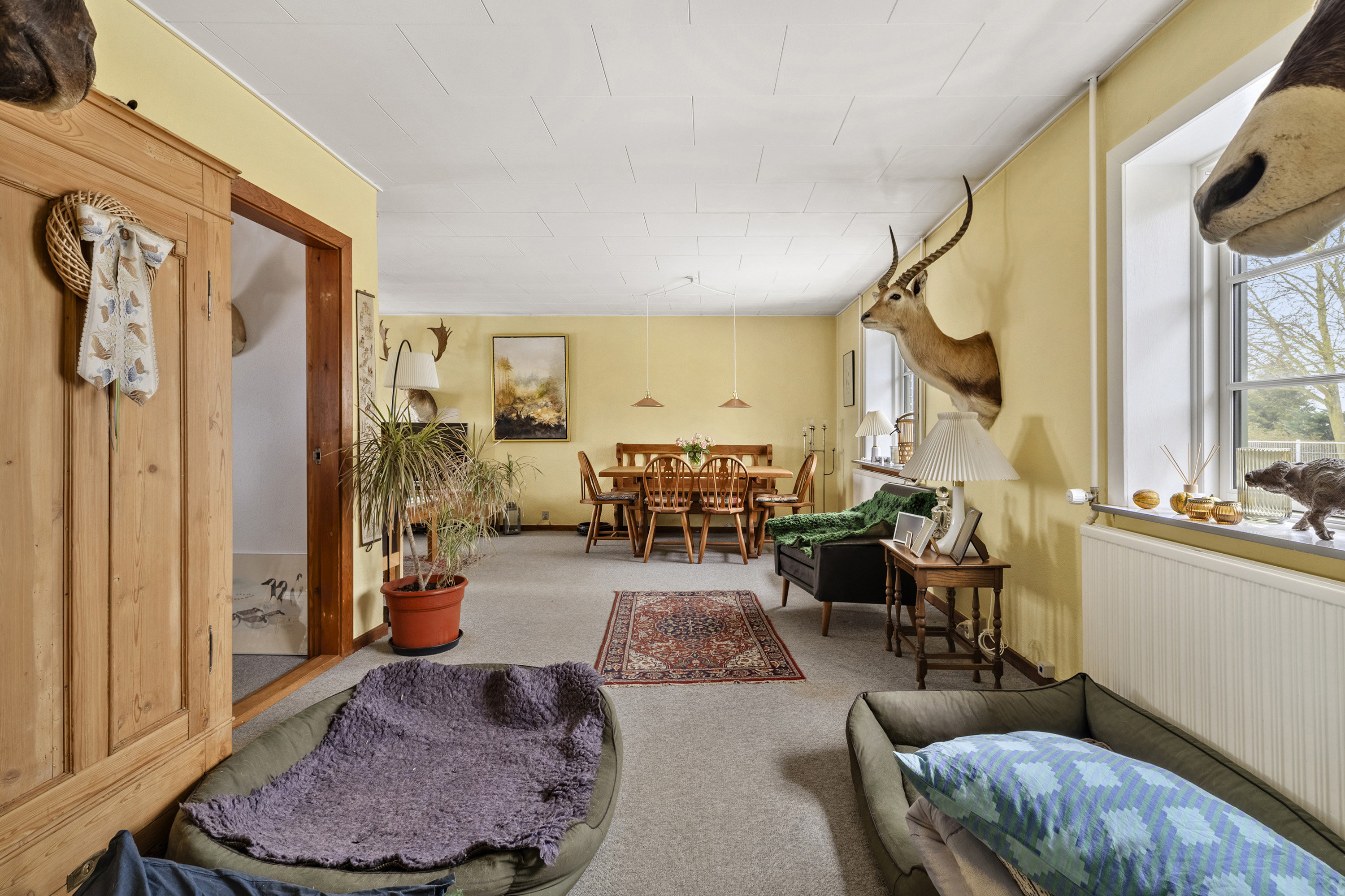 Fremhævet stue billede i fuldskærmstilstand. Billede af Hemmeshøjvej 12, 4241 Vemmelev