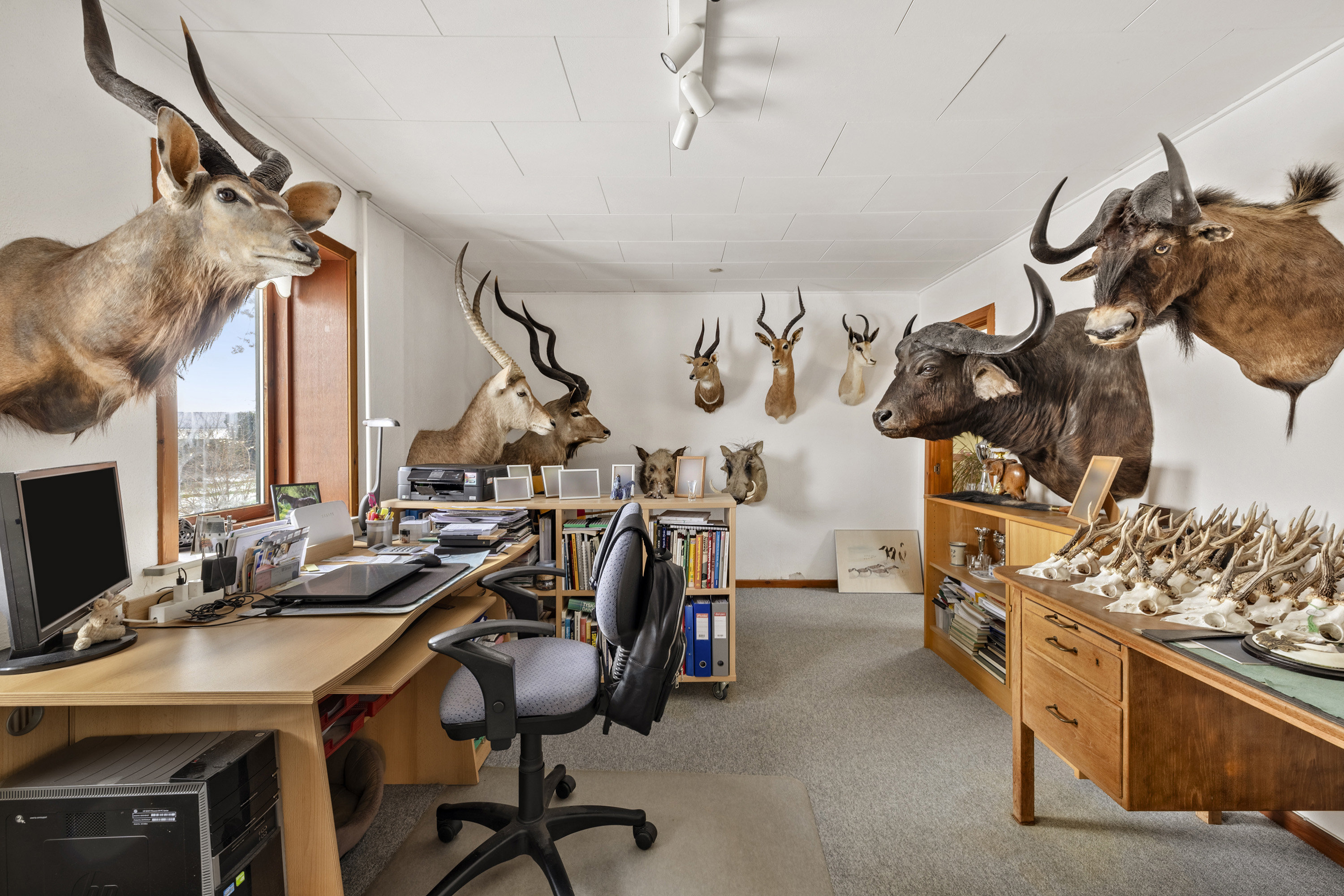 Fremhævet kontor billede i fuldskærmstilstand. Billede af Hemmeshøjvej 12, 4241 Vemmelev