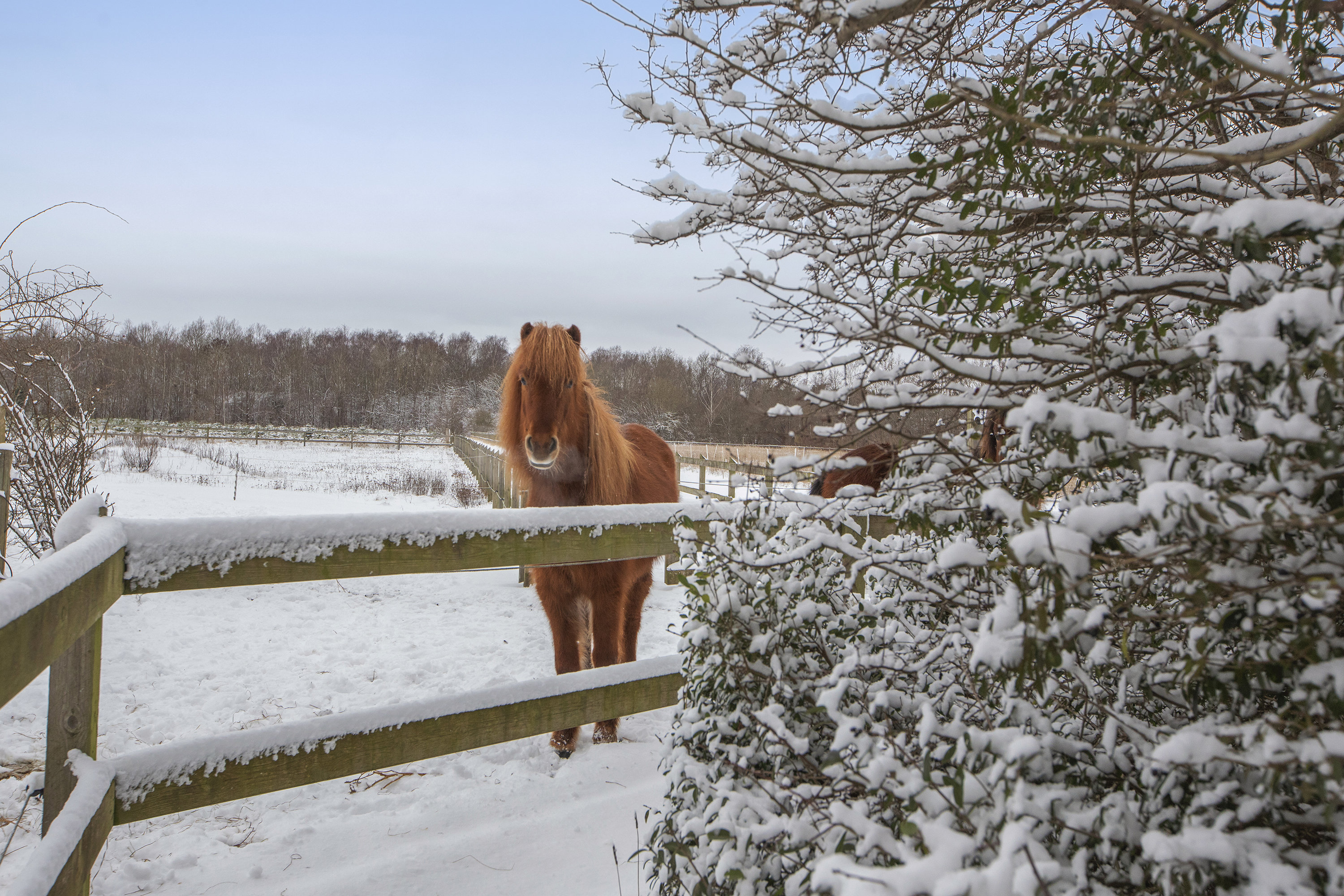 Fremhævet  billede i fuldskærmstilstand. Billede af Tømmerupvej 108, 2770 Kastrup