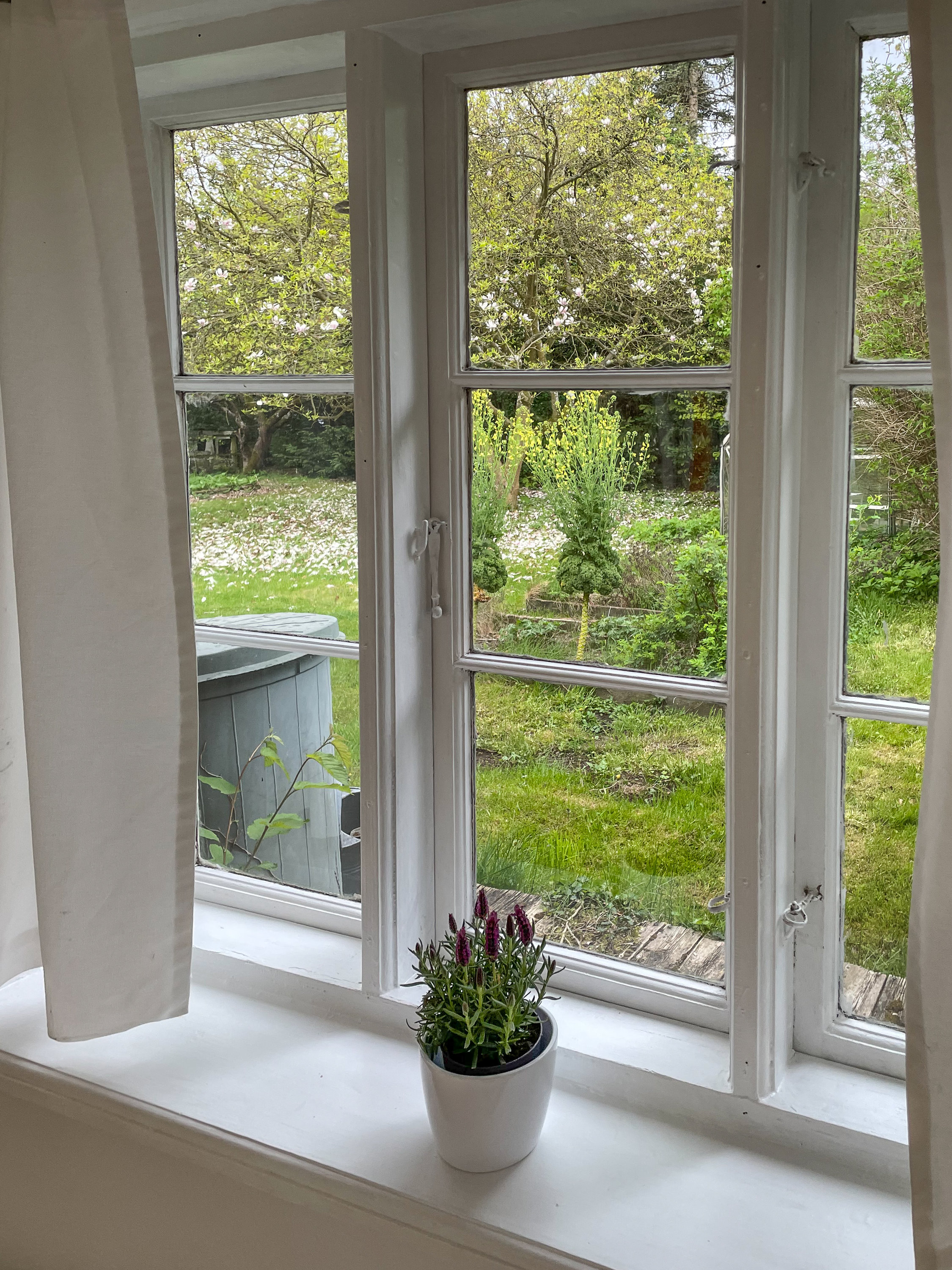 Fremhævet  billede i fuldskærmstilstand. Billede af Olaf Poulsens Alle 2, 3480 Fredensborg