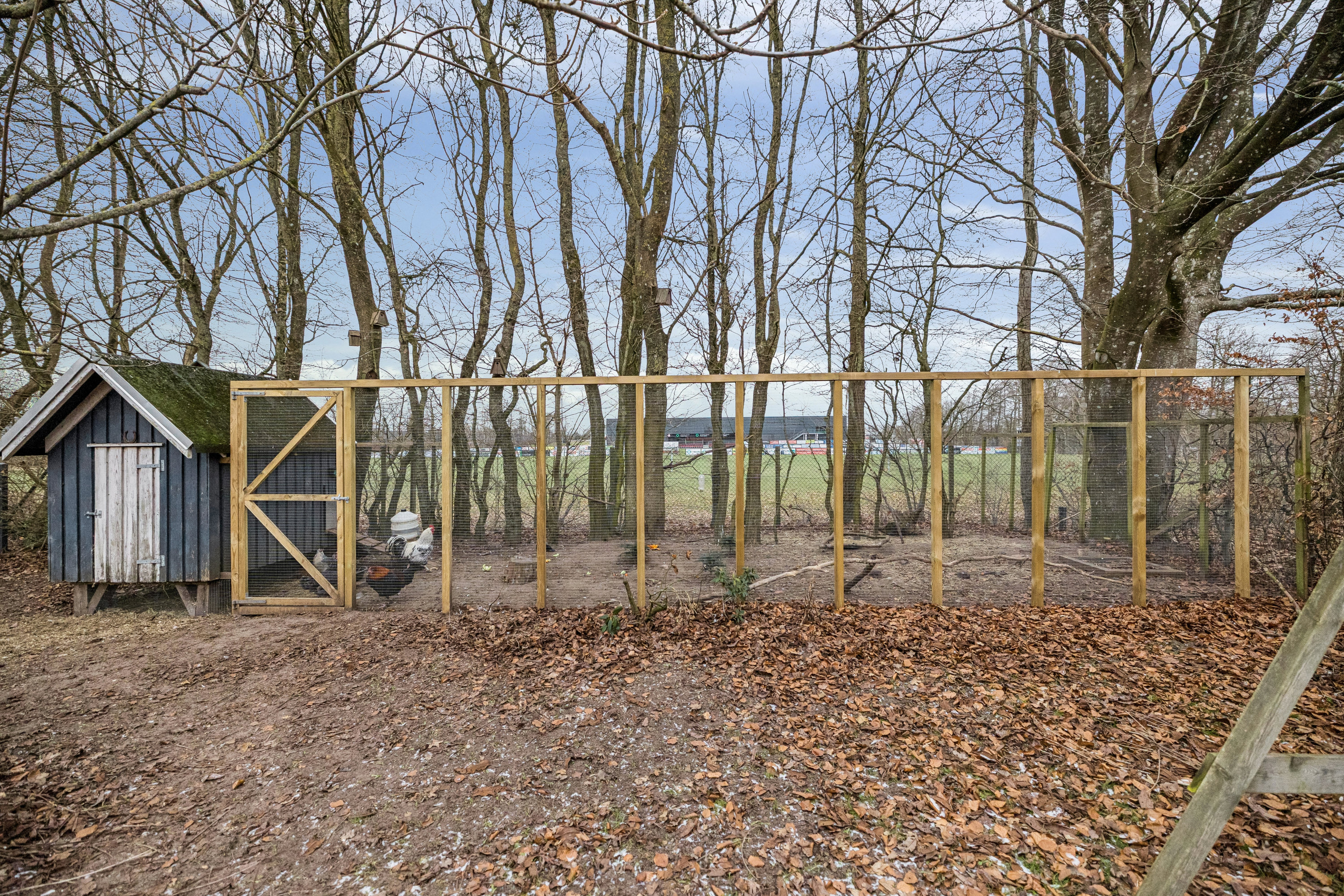 Fremhævet have billede i fuldskærmstilstand. Billede af Løgstørvej 72, Hørby, 9500 Hobro