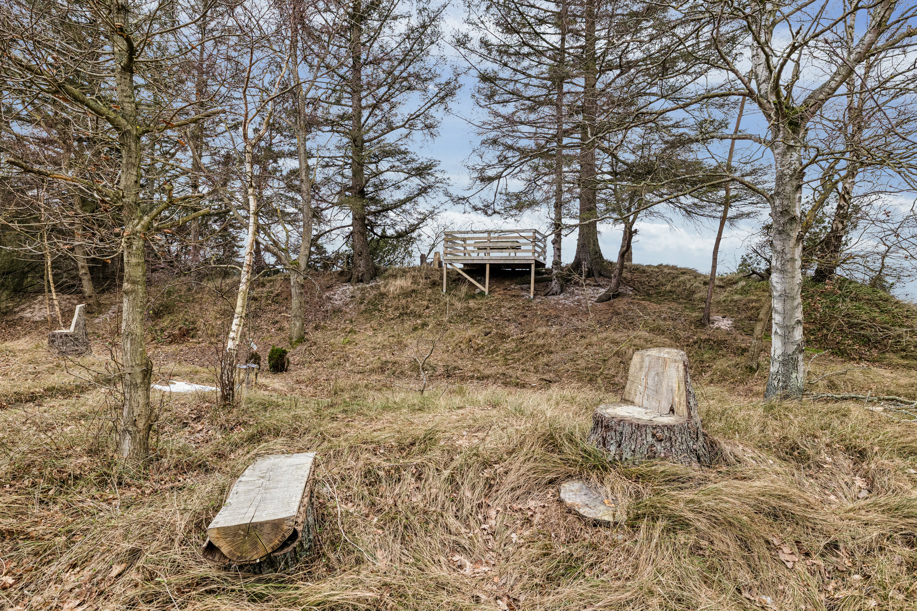 Fremhævet  billede i fuldskærmstilstand. Billede af Strandlund 1, Helberskov, 9560 Hadsund