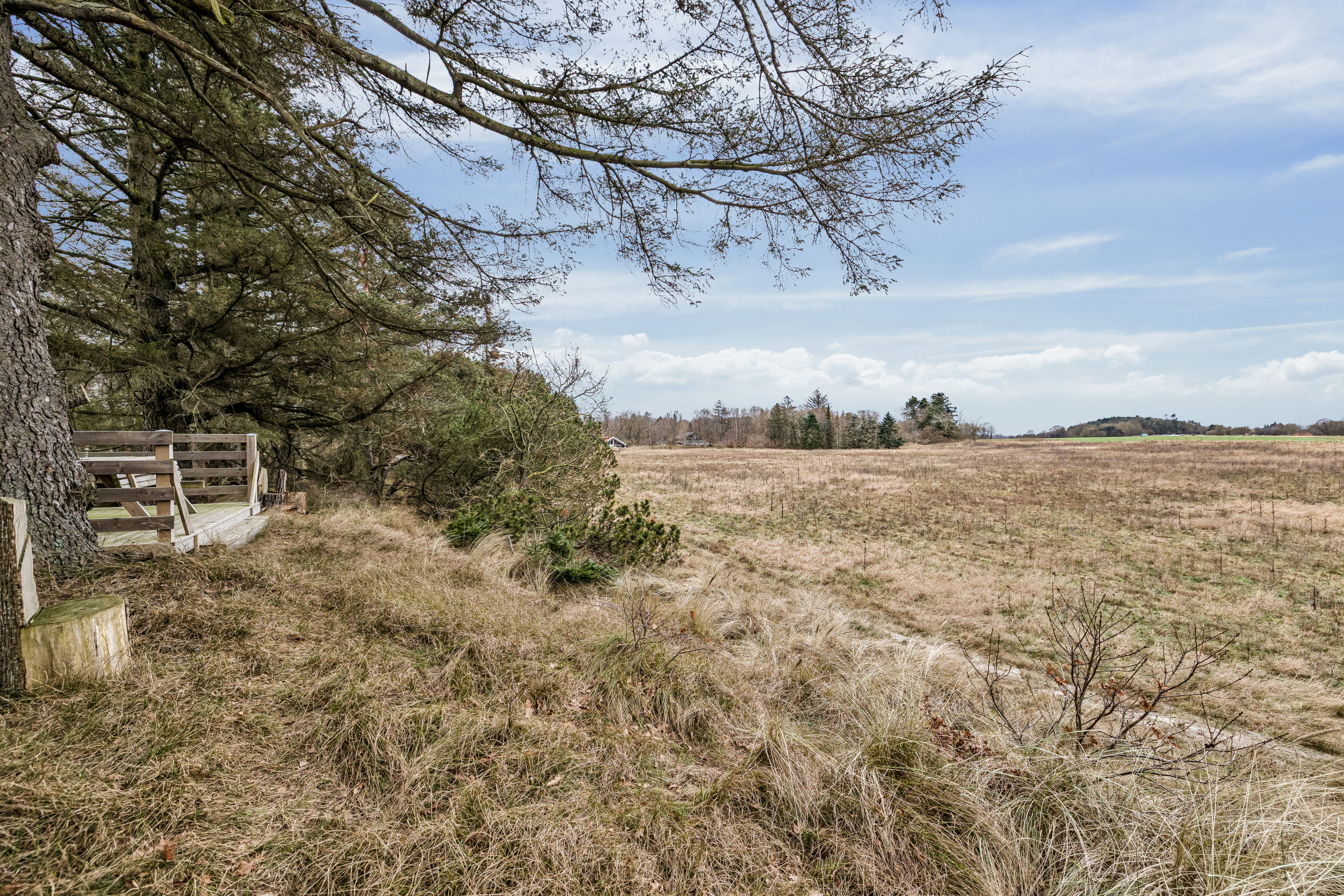Fremhævet  billede i fuldskærmstilstand. Billede af Strandlund 1, Helberskov, 9560 Hadsund
