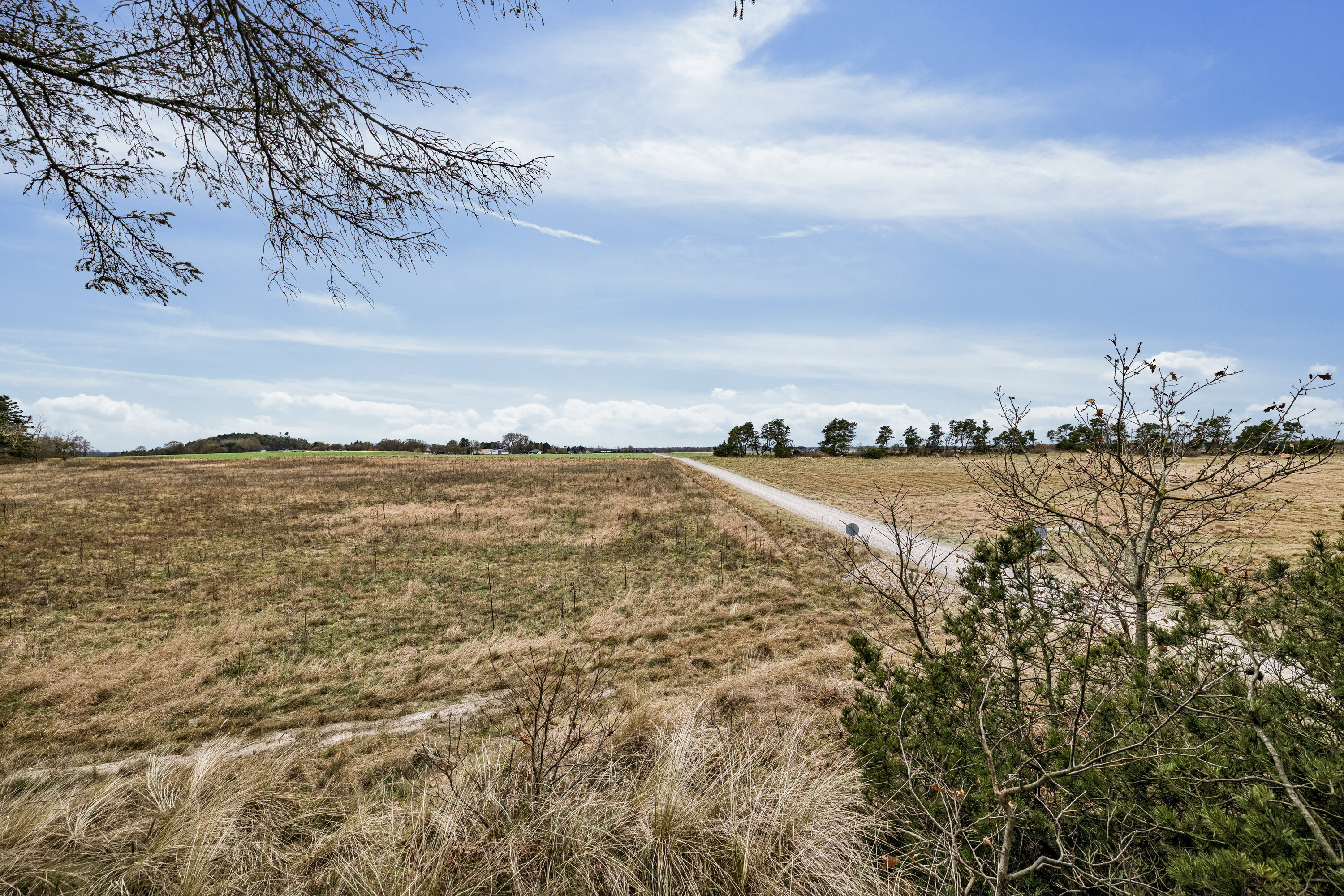 Fremhævet  billede i fuldskærmstilstand. Billede af Strandlund 1, Helberskov, 9560 Hadsund