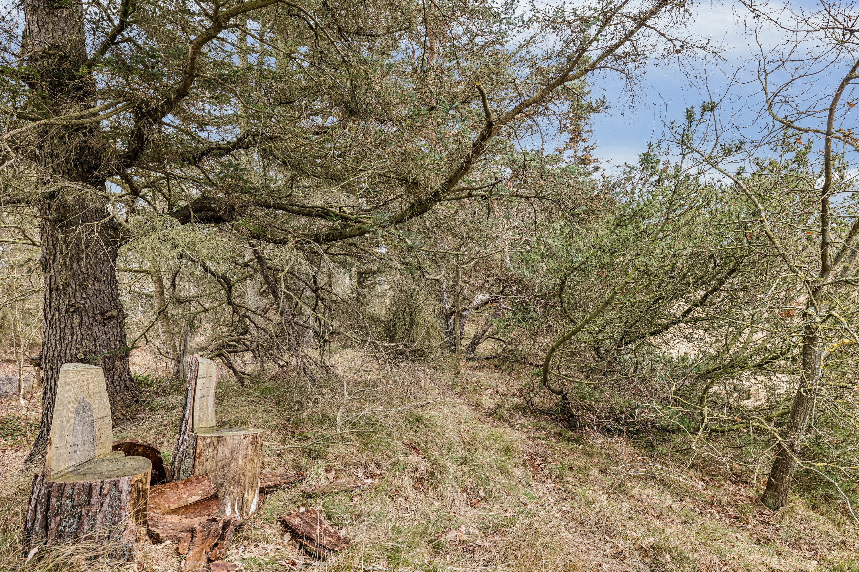 Fremhævet  billede i fuldskærmstilstand. Billede af Strandlund 1, Helberskov, 9560 Hadsund