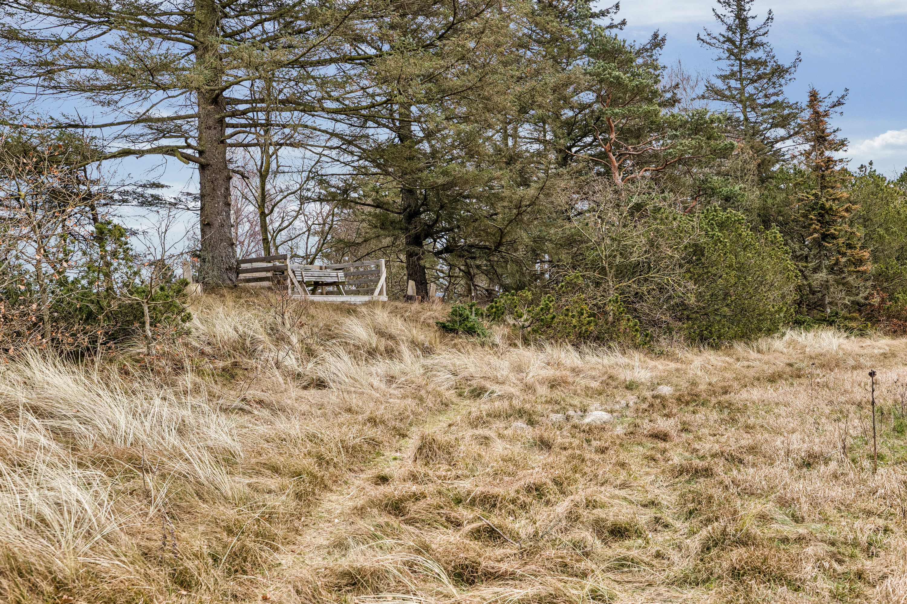 Fremhævet  billede i fuldskærmstilstand. Billede af Strandlund 1, Helberskov, 9560 Hadsund