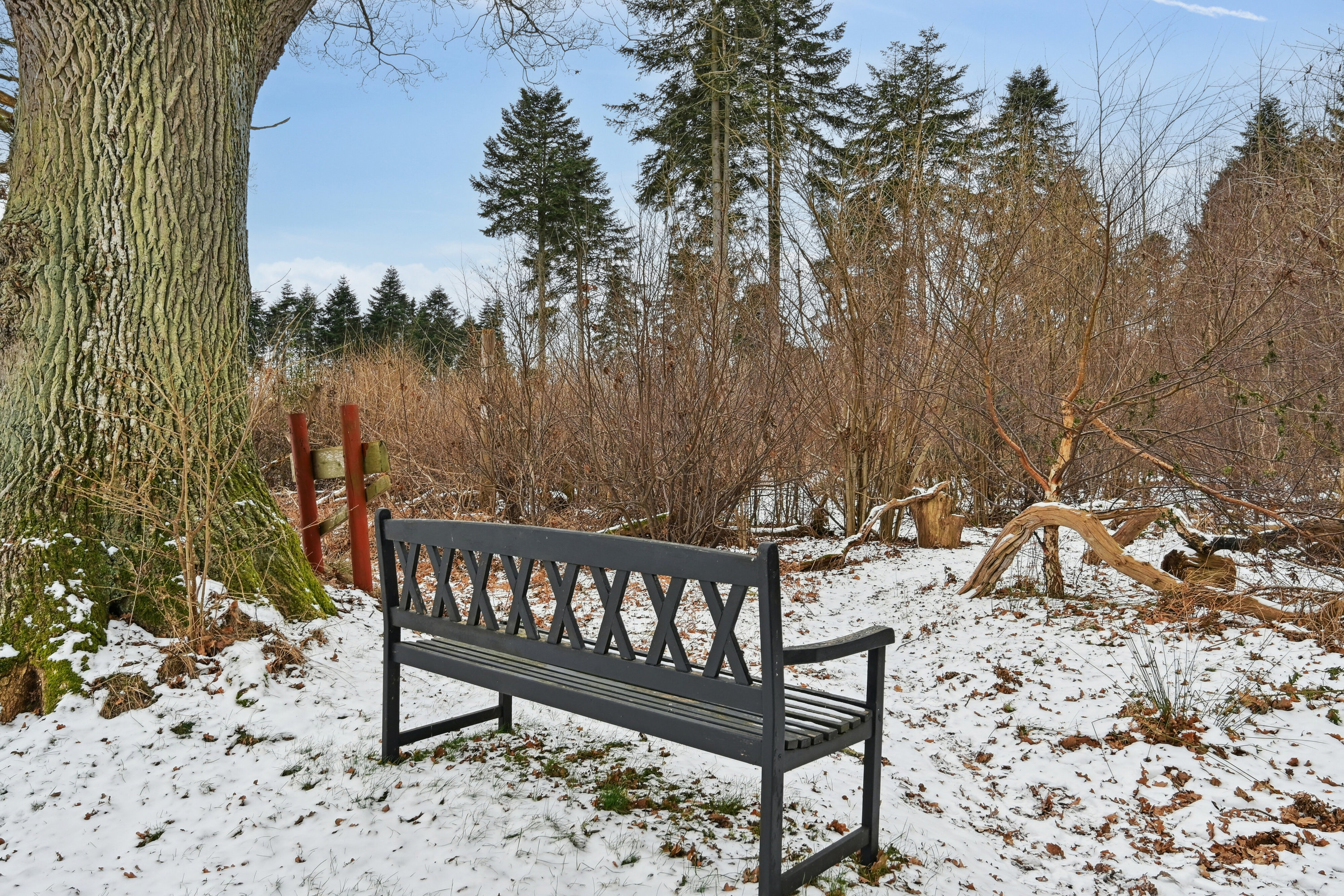 Fremhævet udendørs billede i fuldskærmstilstand. Billede af Toftemosevej 39, 3100 Hornbæk