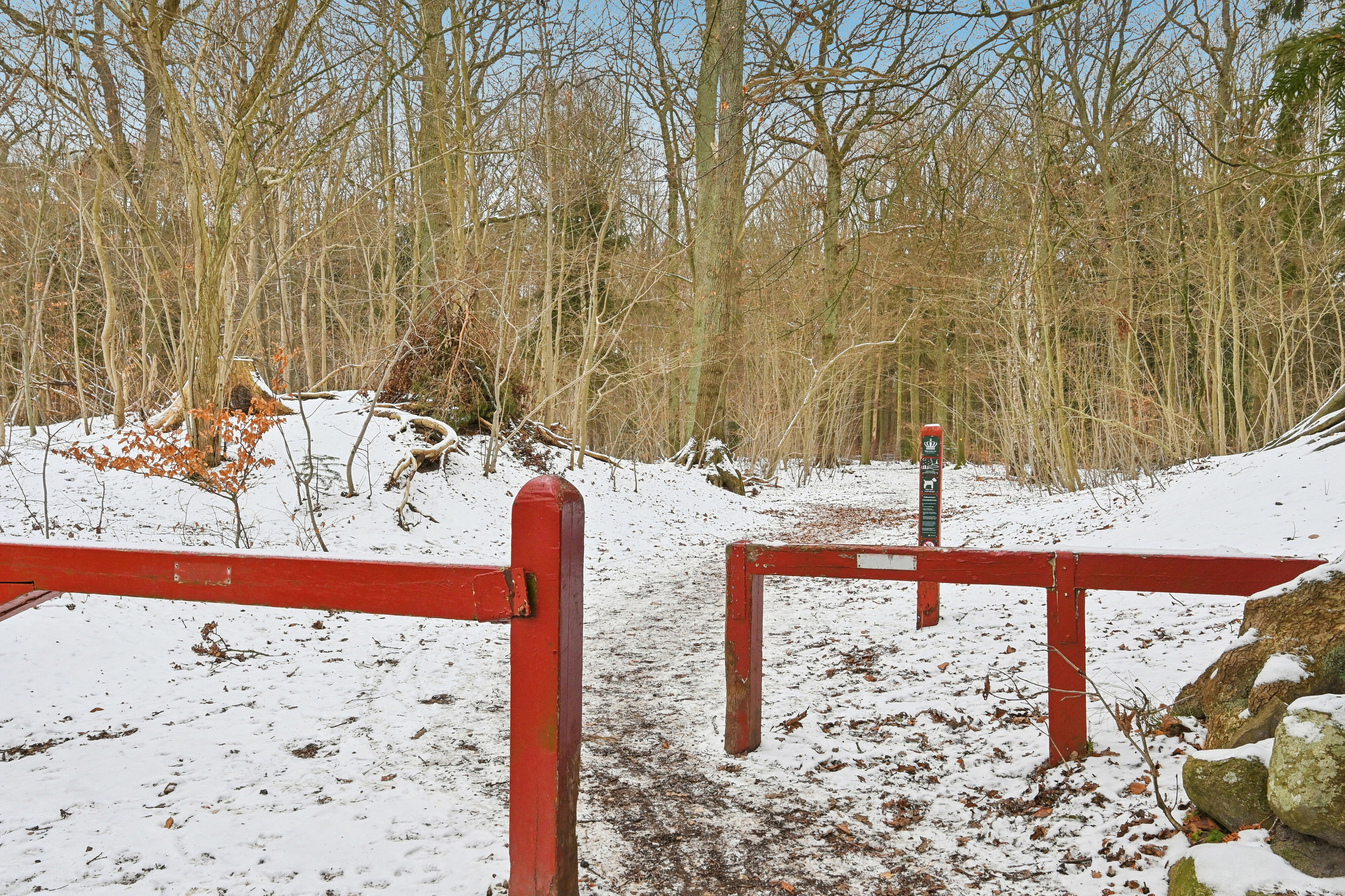 Fremhævet udendørs billede i fuldskærmstilstand. Billede af Toftemosevej 39, 3100 Hornbæk